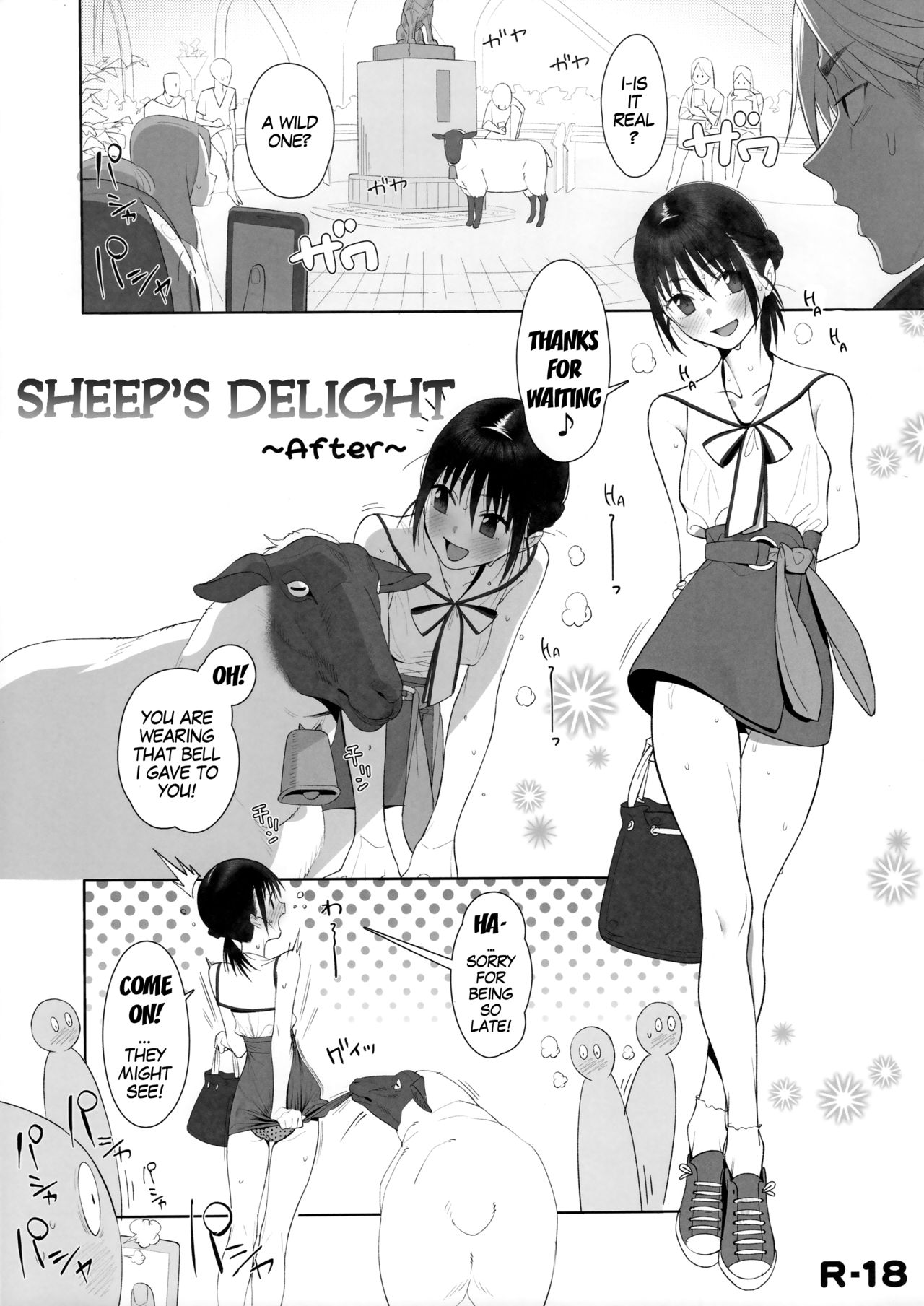 Sheep's Delight After cover