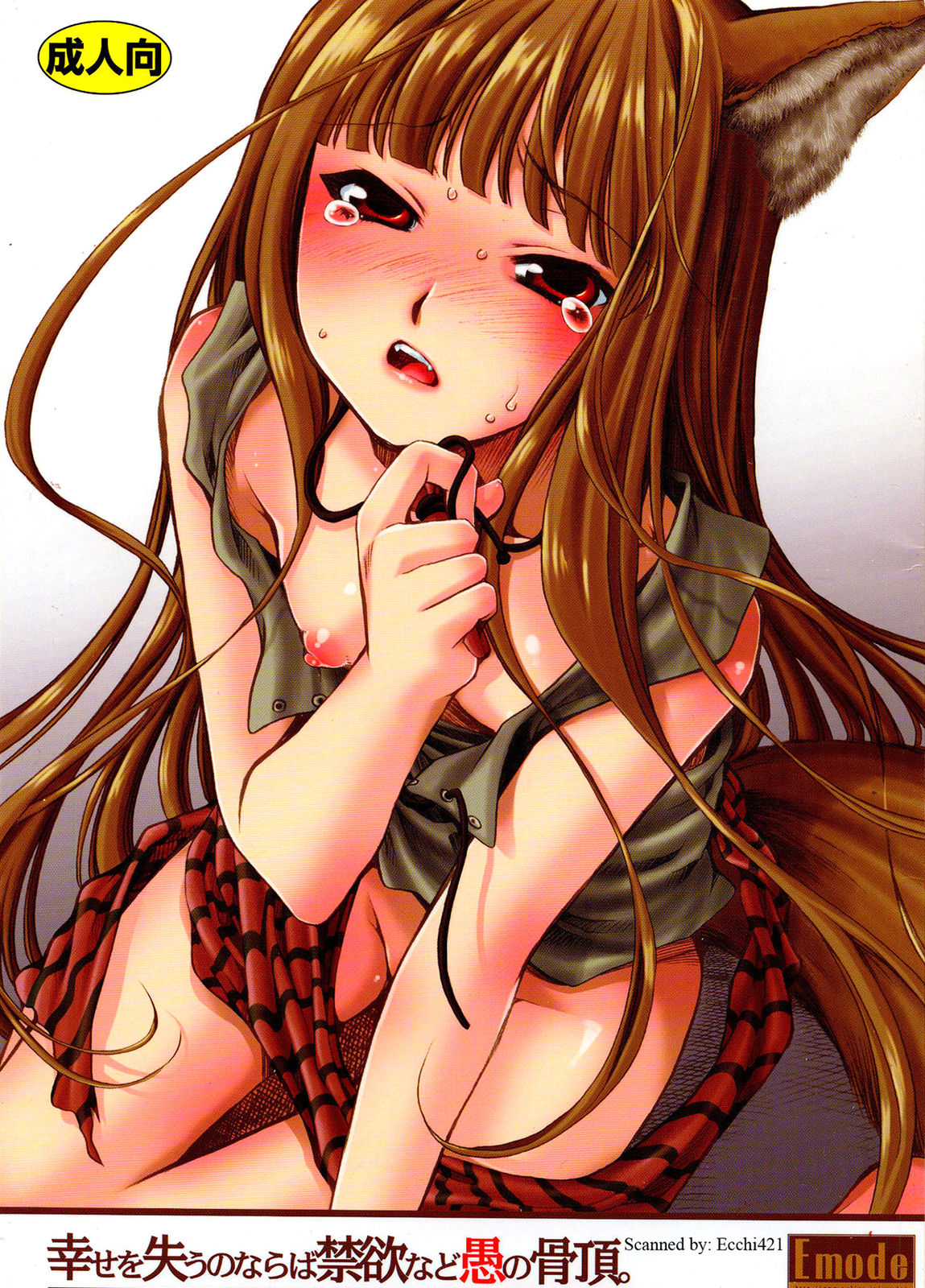 Shiawase o Ushinau no Naraba Kinyoku Nado Gu no Kocchou cover