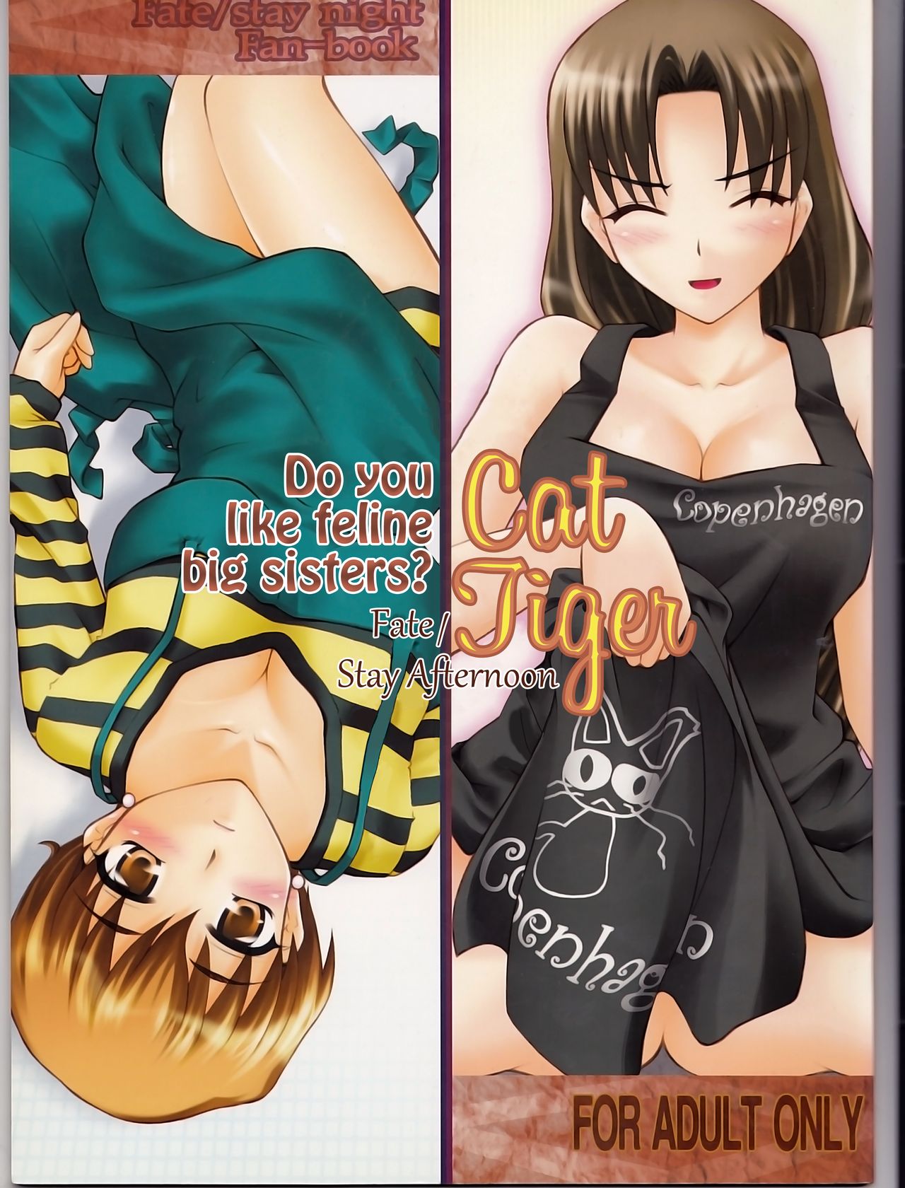 Cat Tiger: Do you like feline big sisters? Fate/Stay Afternoon cover
