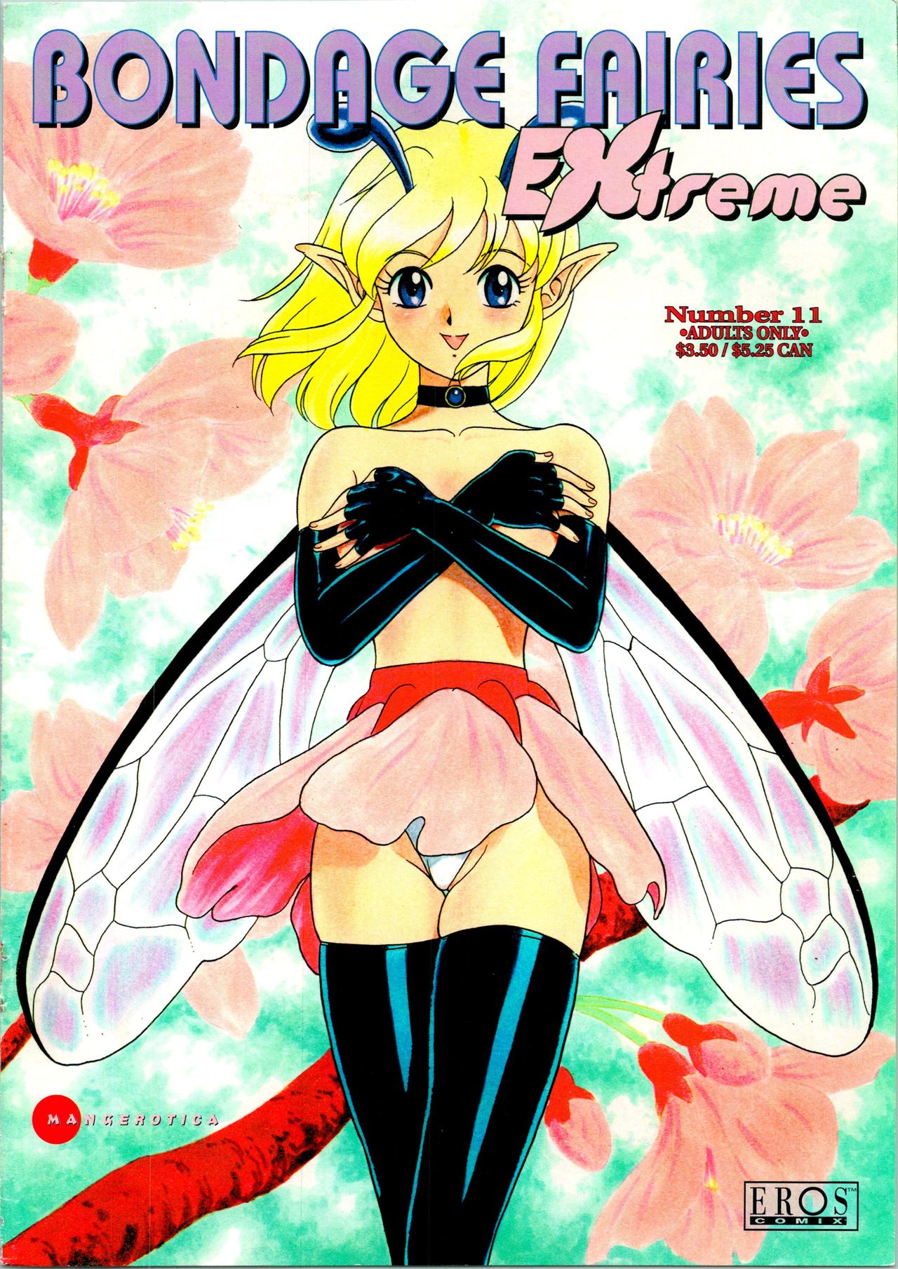 Bondage Fairies Extreme 11 cover