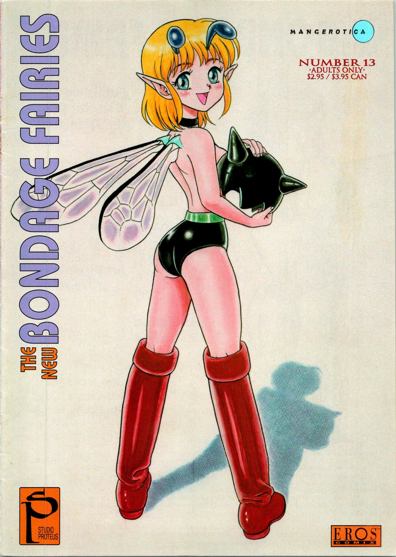 The New Bondage Fairies 13 cover