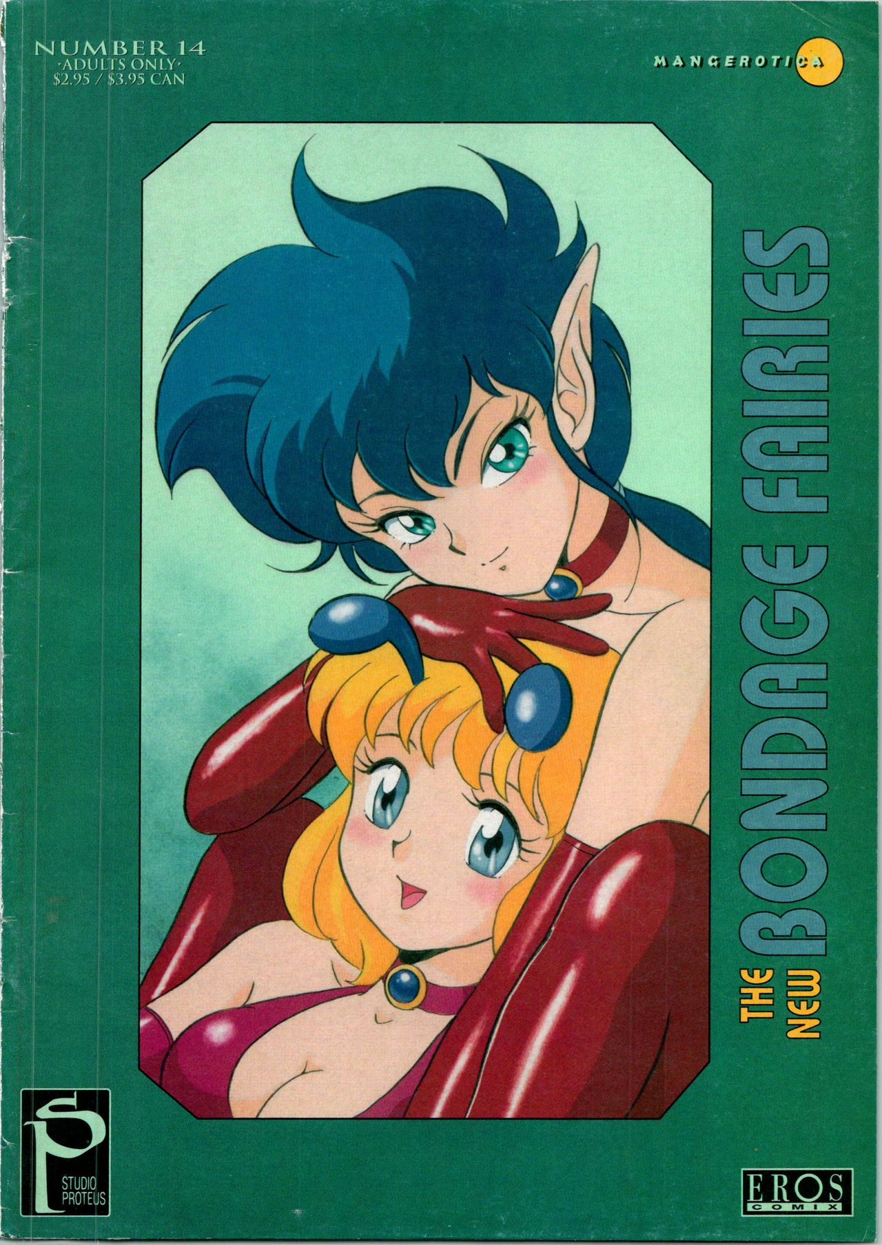 The New Bondage Fairies 14 cover