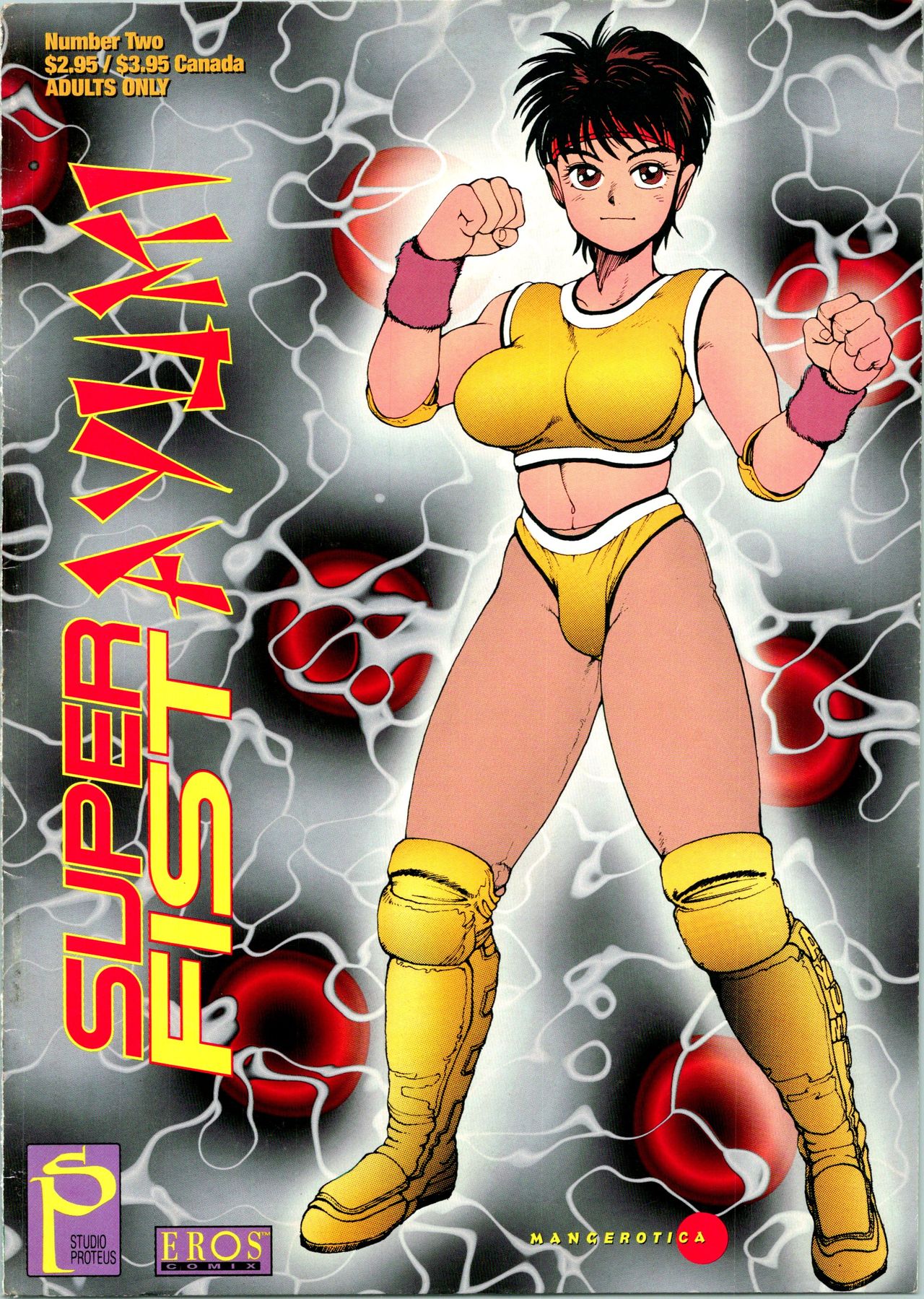 Super Fist Ayumi 2 cover