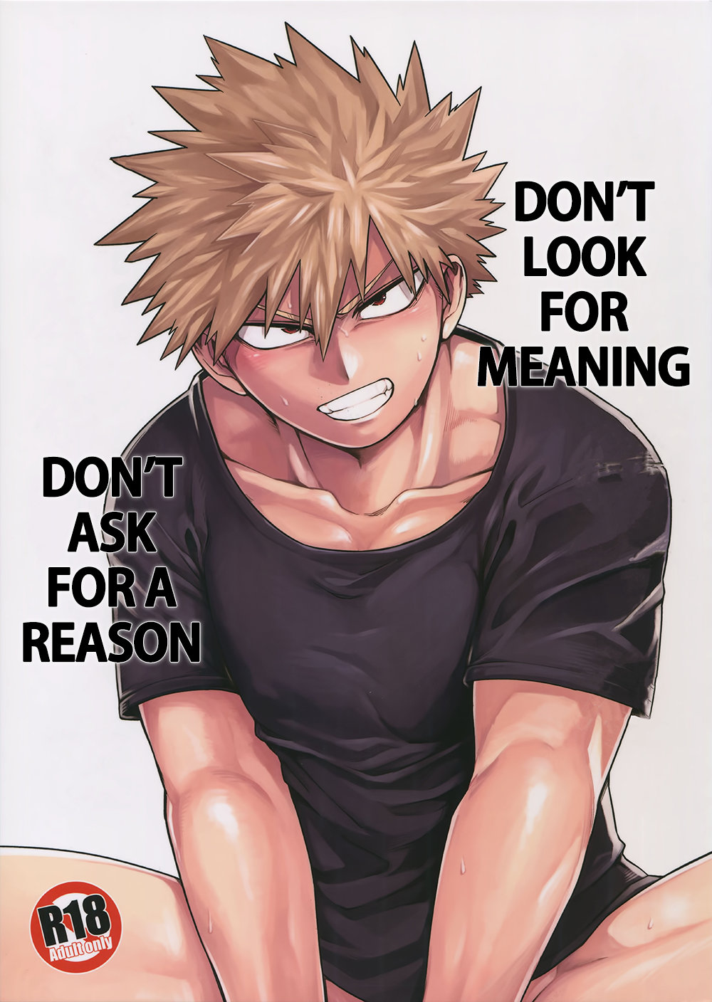 Don't Look for Meaning, Don't Ask for a Reason cover
