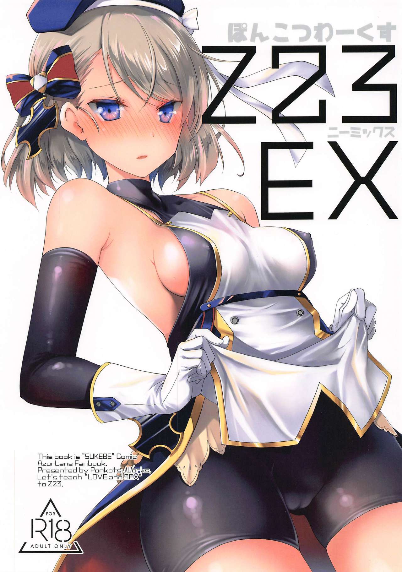 Z23EX cover