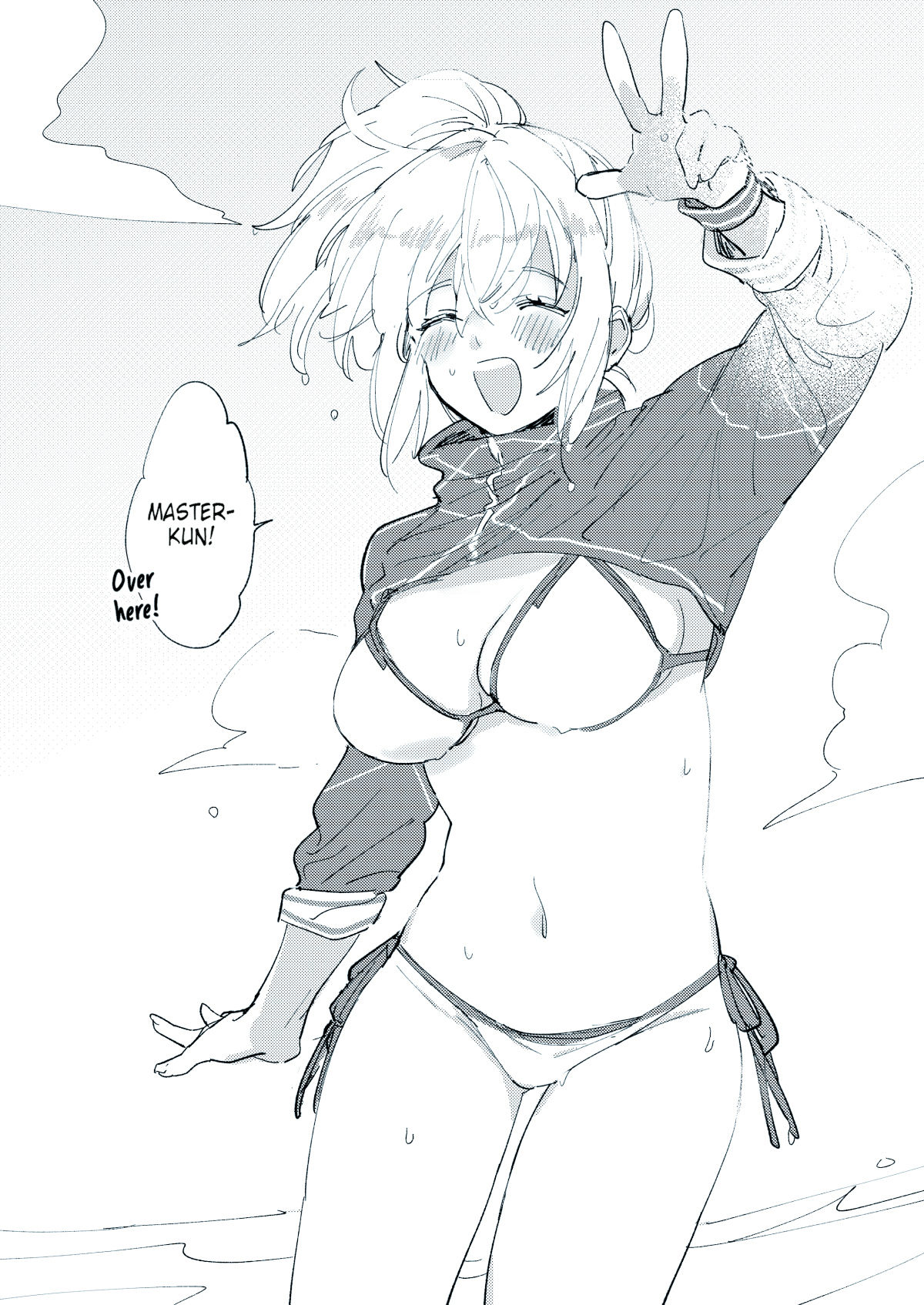 FGO LOG cover