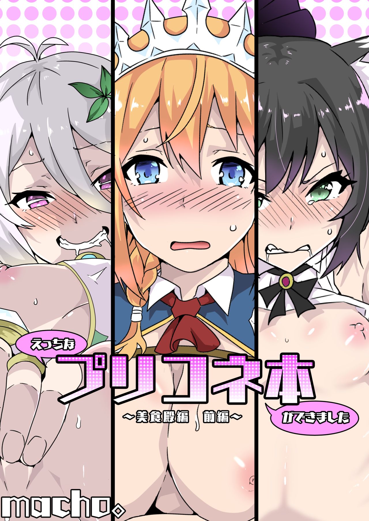 Ecchi na PriConne Bon ga Dekimashita ~Bishokuden Hen Zenpen~ cover