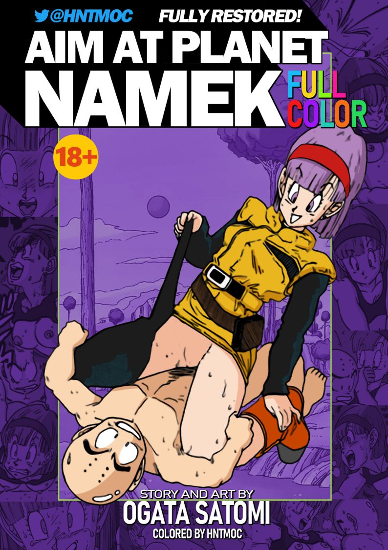 Aim at Planet Namek! cover