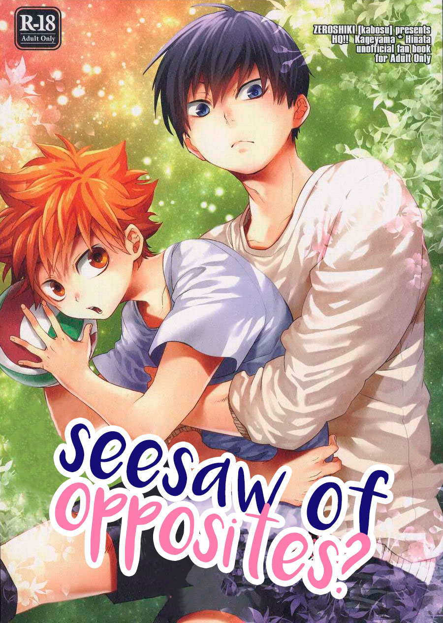 Seesaw of Opposites? cover