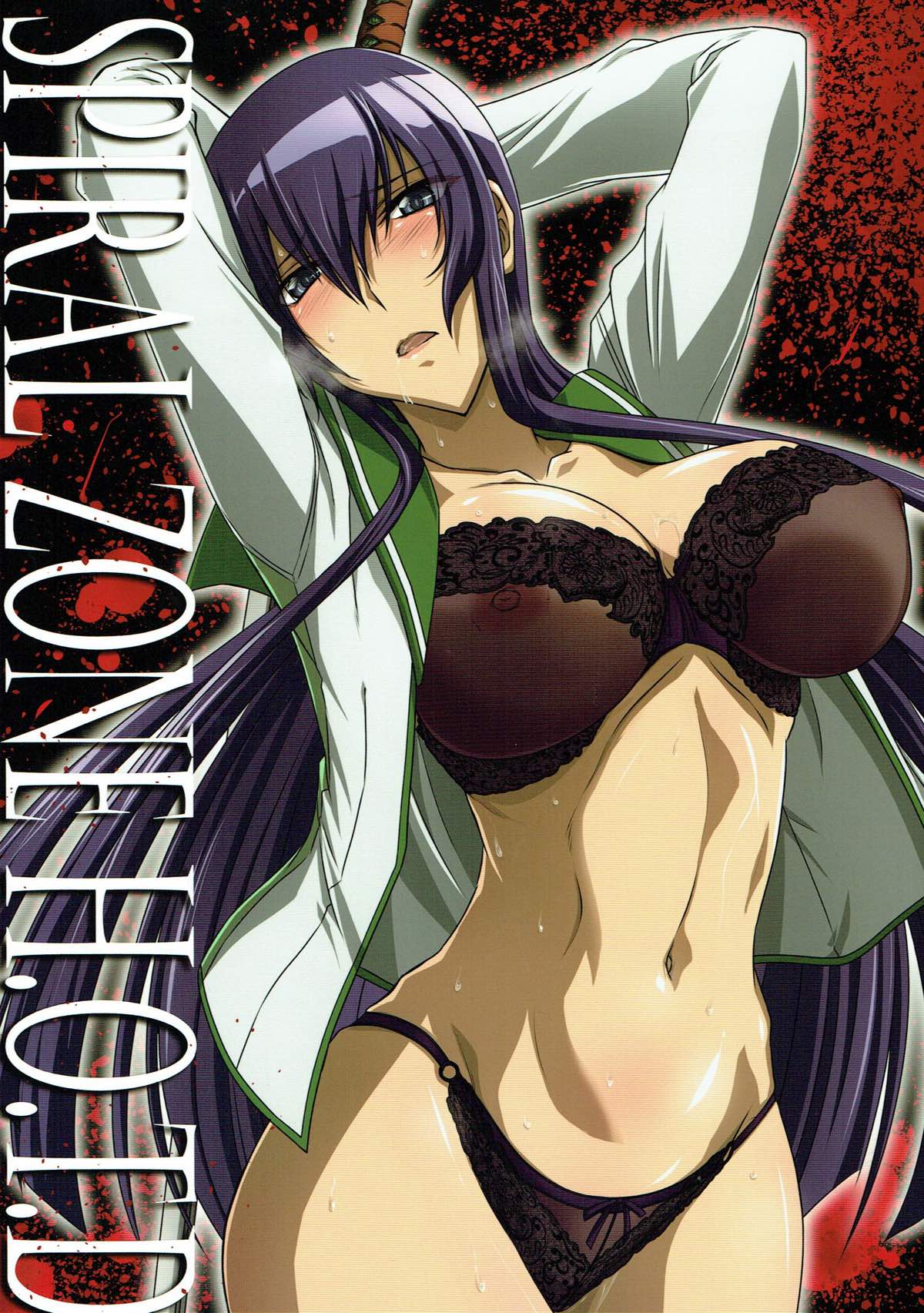 SPIRAL ZONE H.O.T.D cover