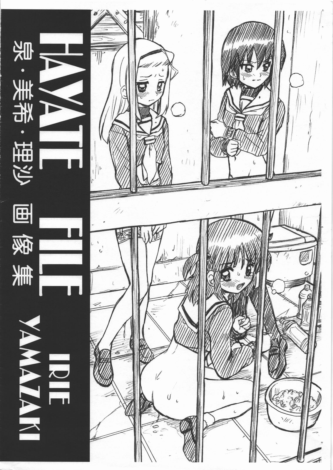 HAYATE FILE - Izumi Miki Risa Gazoushuu cover