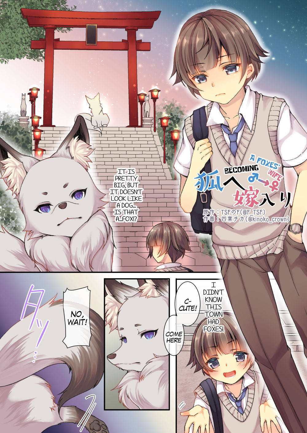 Becoming a Fox's Wife cover