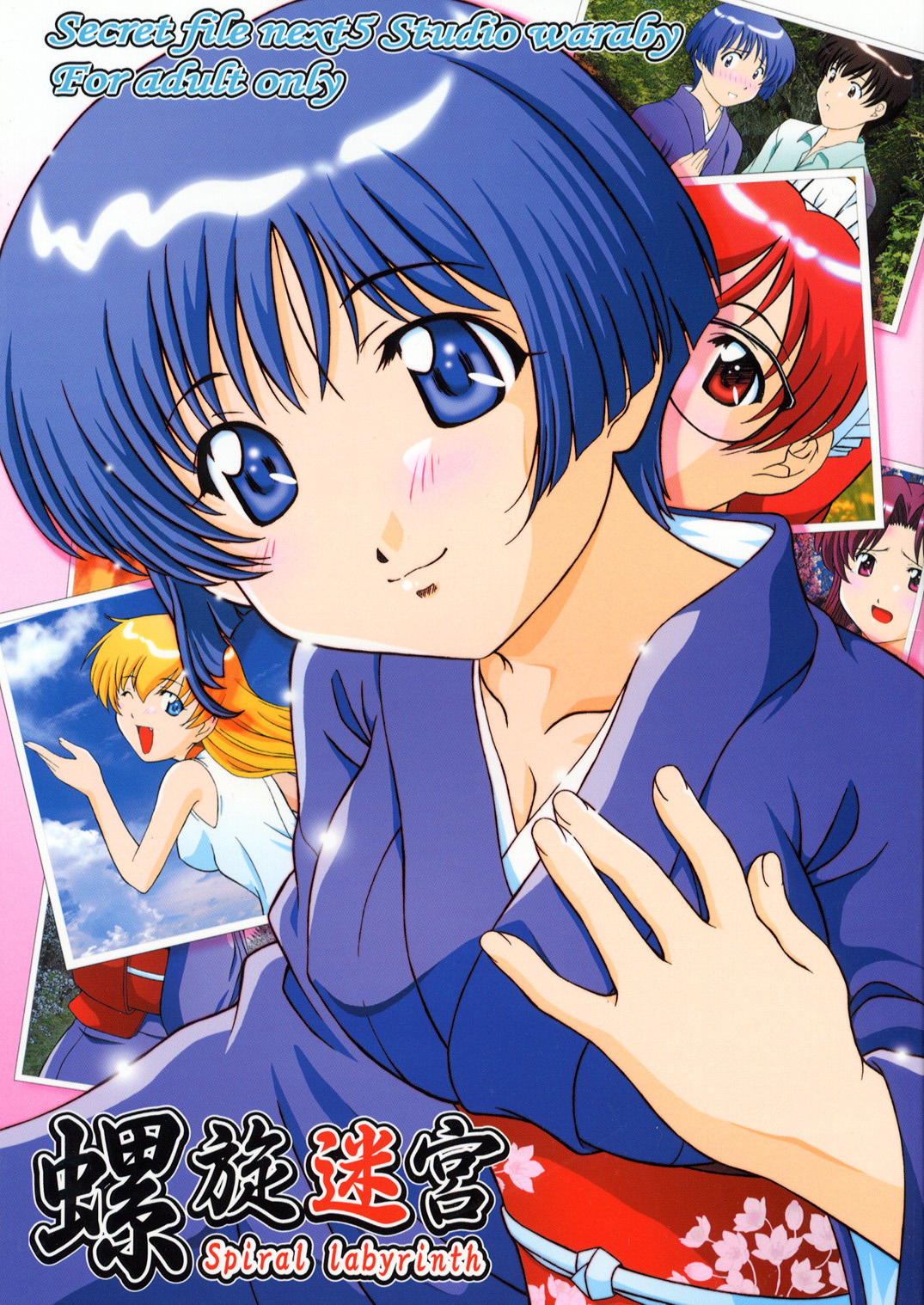 Secret File Next 5 Spiral Labyrinth cover