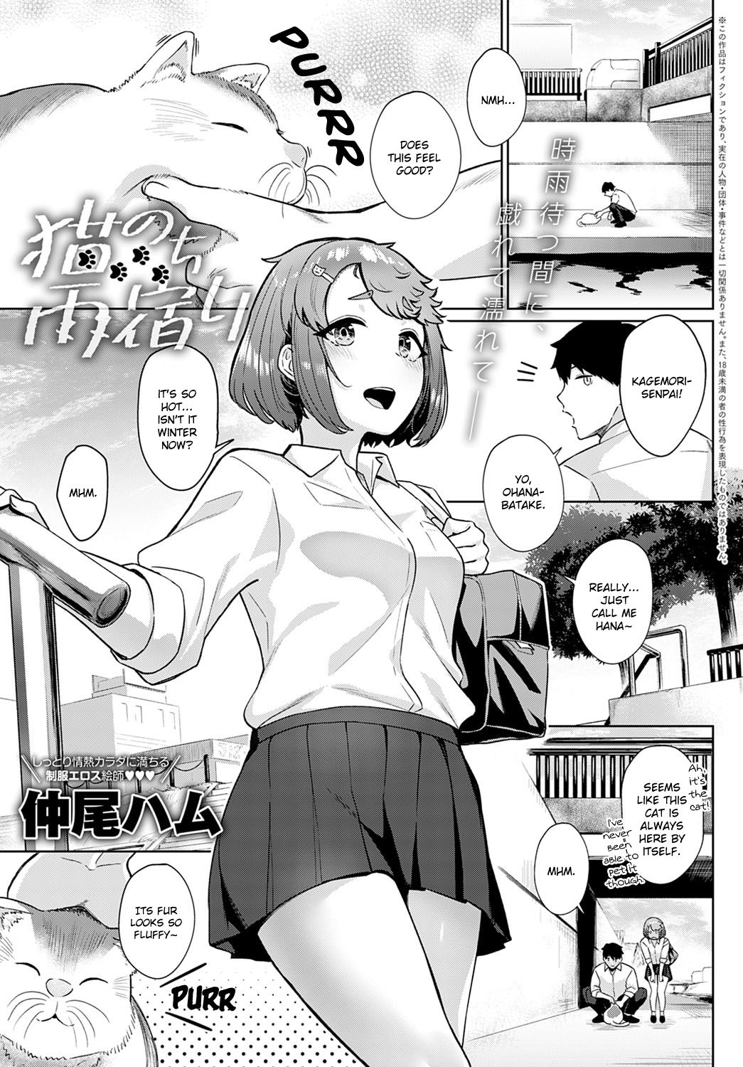 Neko nochi Amayadori cover