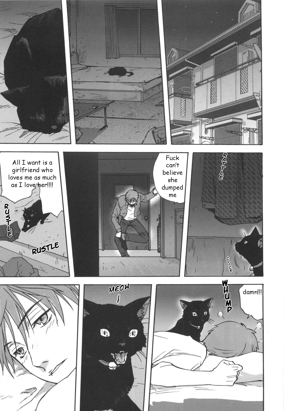 Black Cat Crossing cover