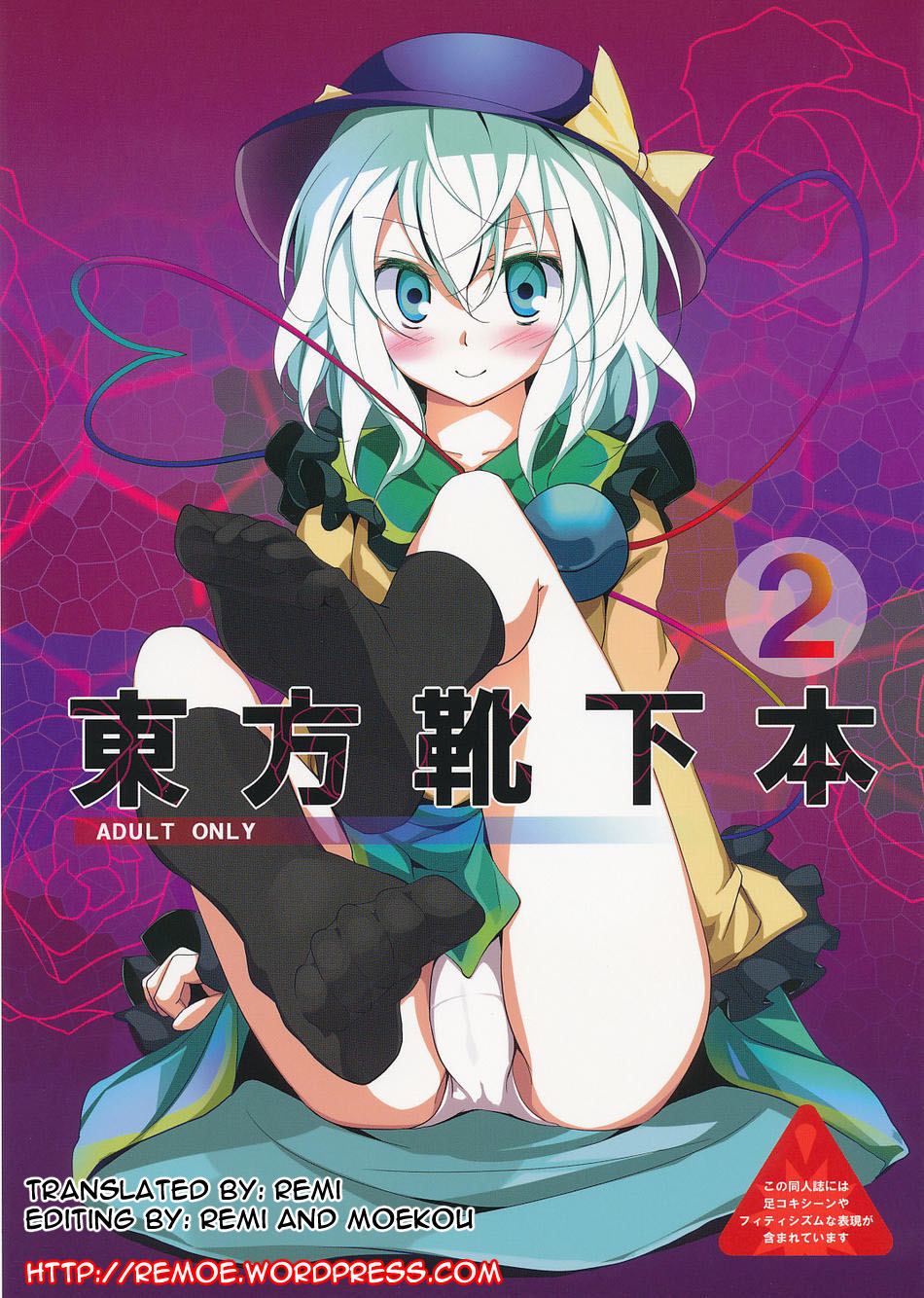 Touhou Sock Book 2 cover