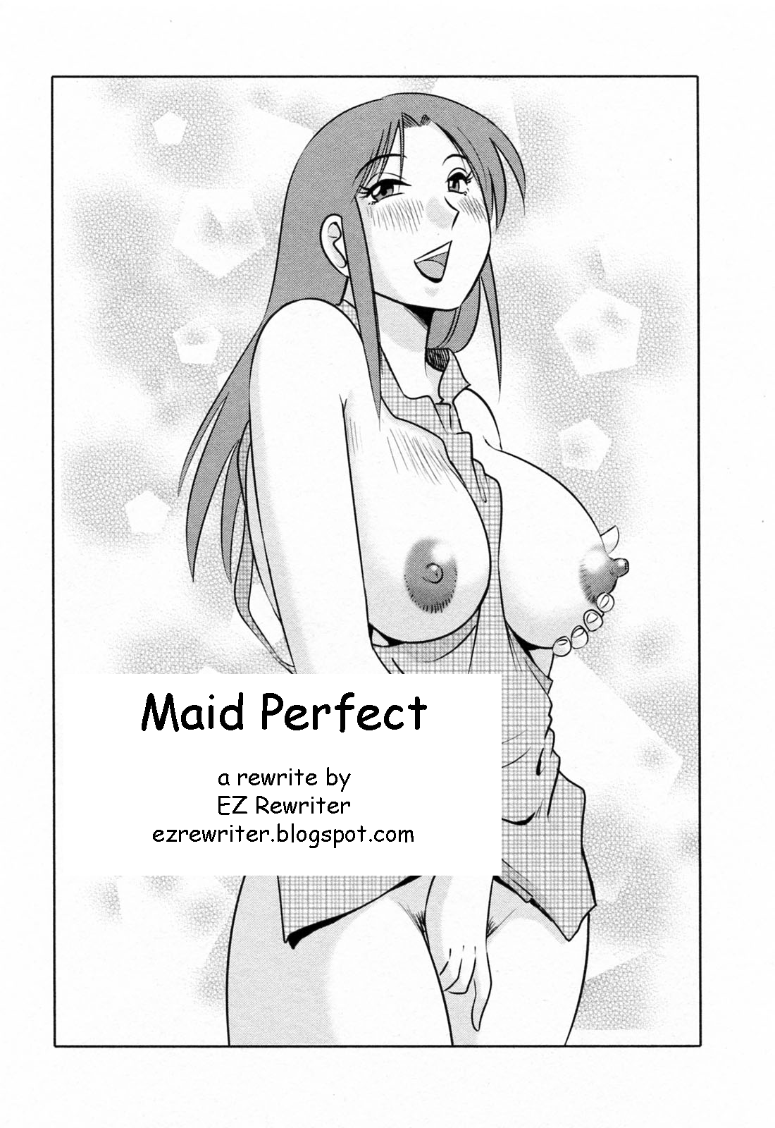 Maid Perfect cover