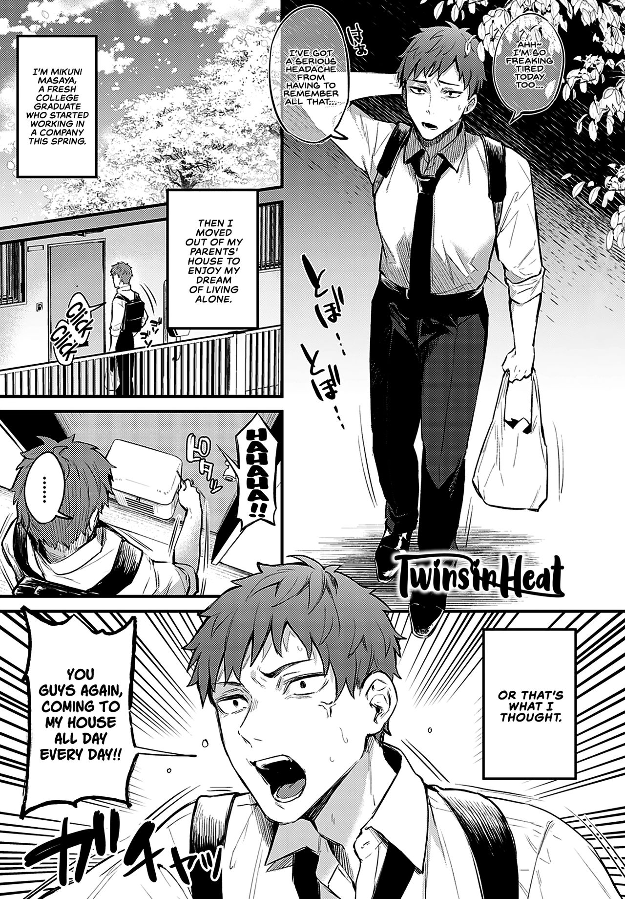 Twins in Heat cover