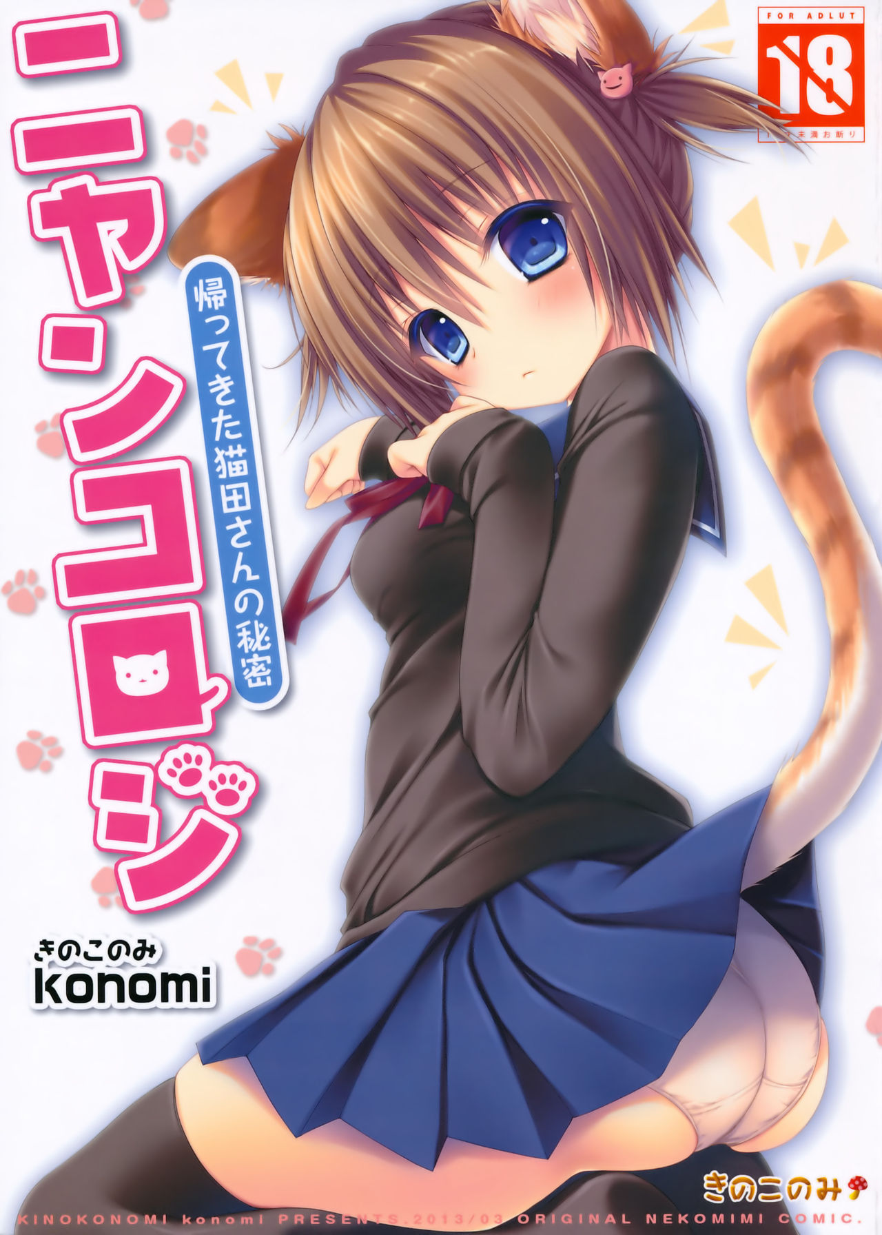 Nyancology - Homecoming Nekota-san's Secret cover