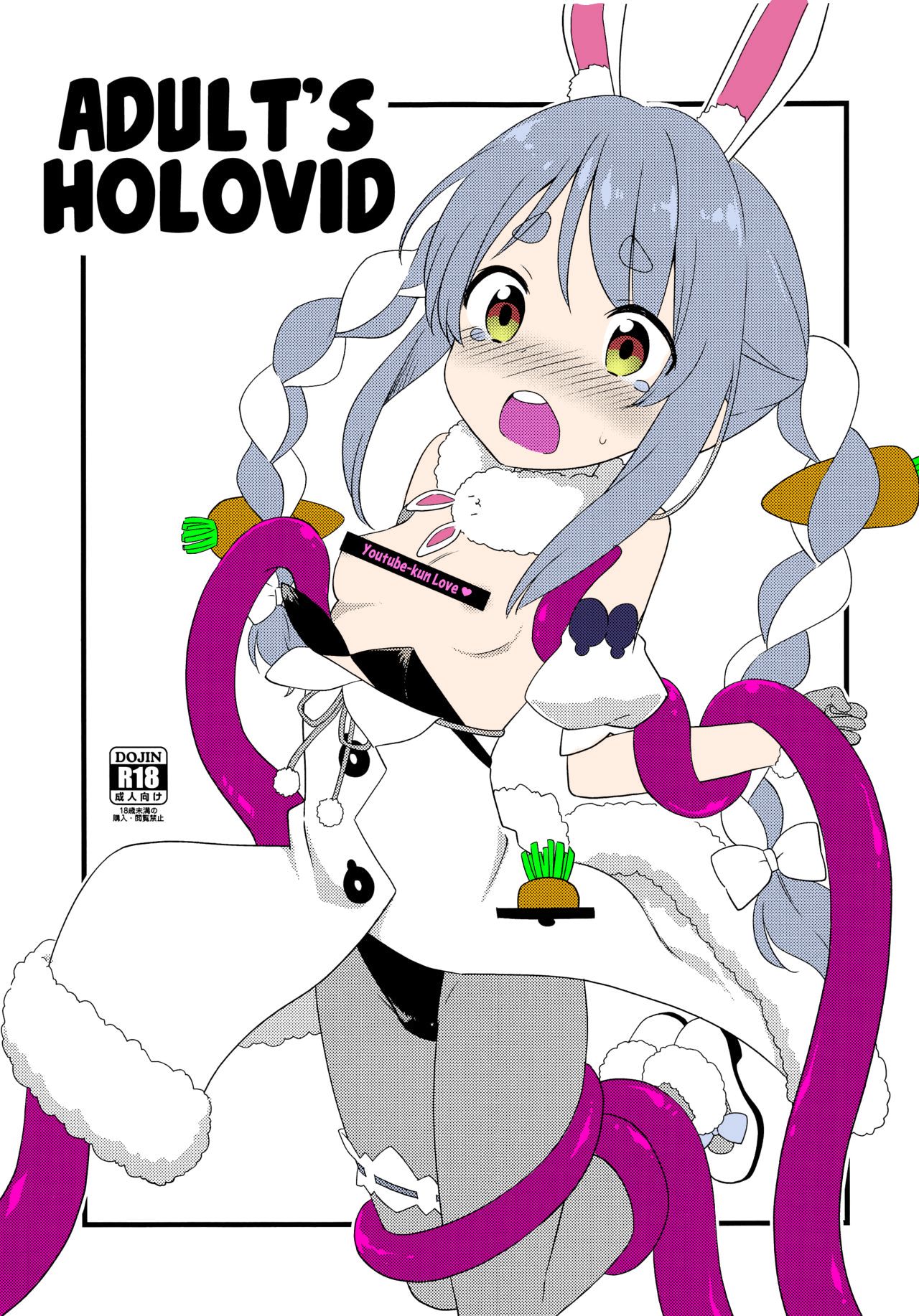 Adult's Holovid cover