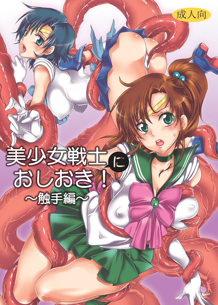 Punish the Pretty Sailor Soldiers ~Love and Justice~ cover