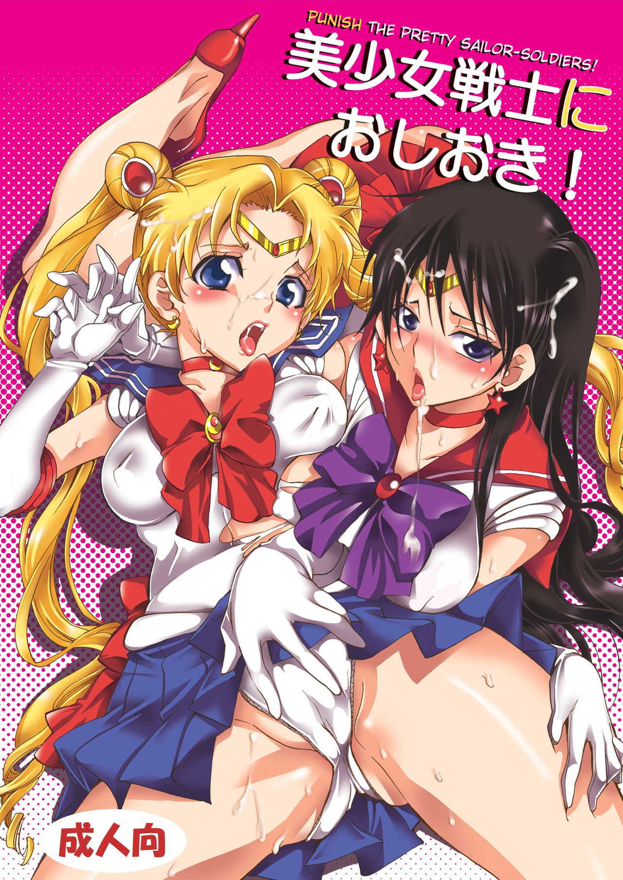 Punish the Pretty Sailor Soldiers cover