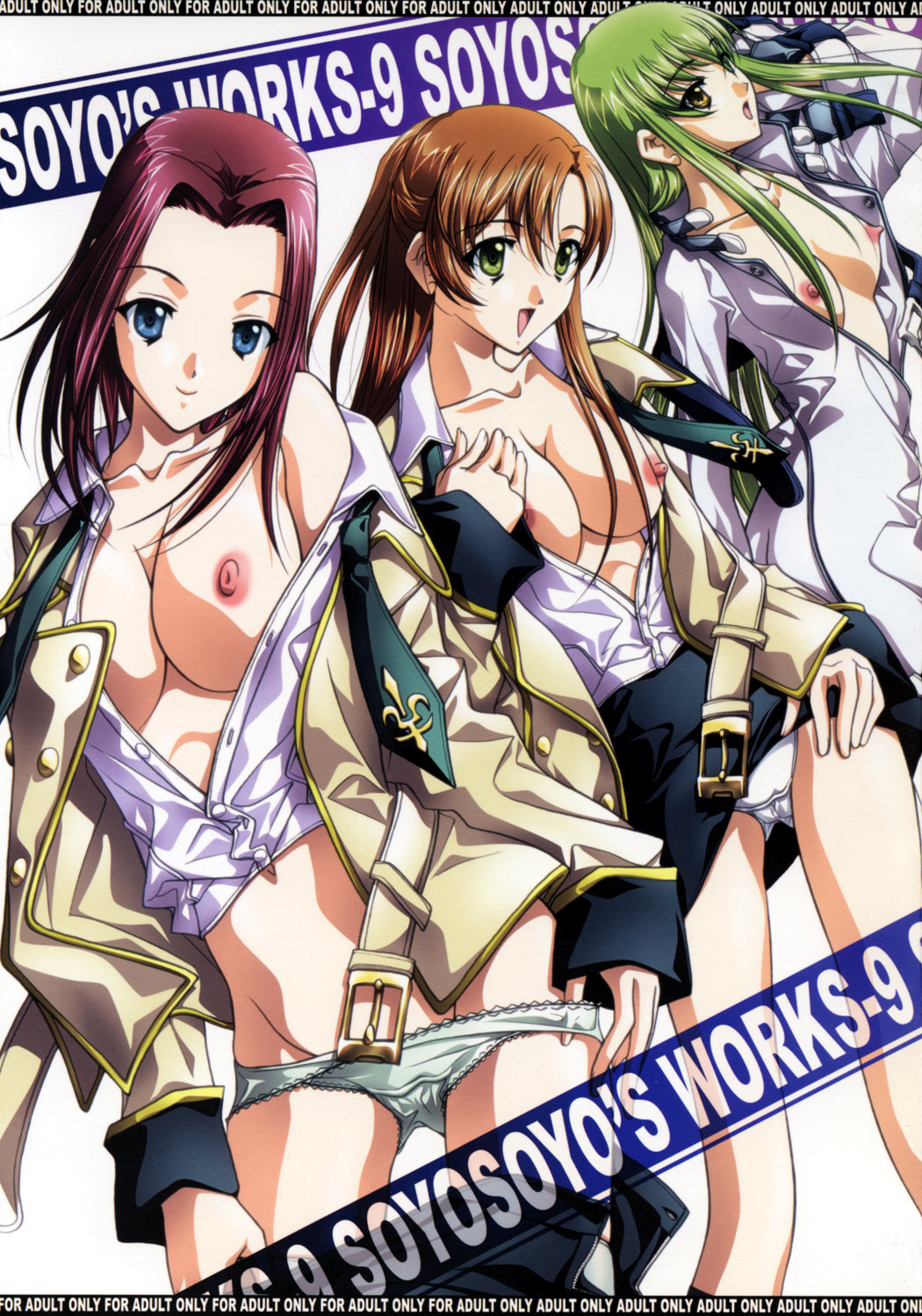 SOYOSOYO'S WORKS-9 cover