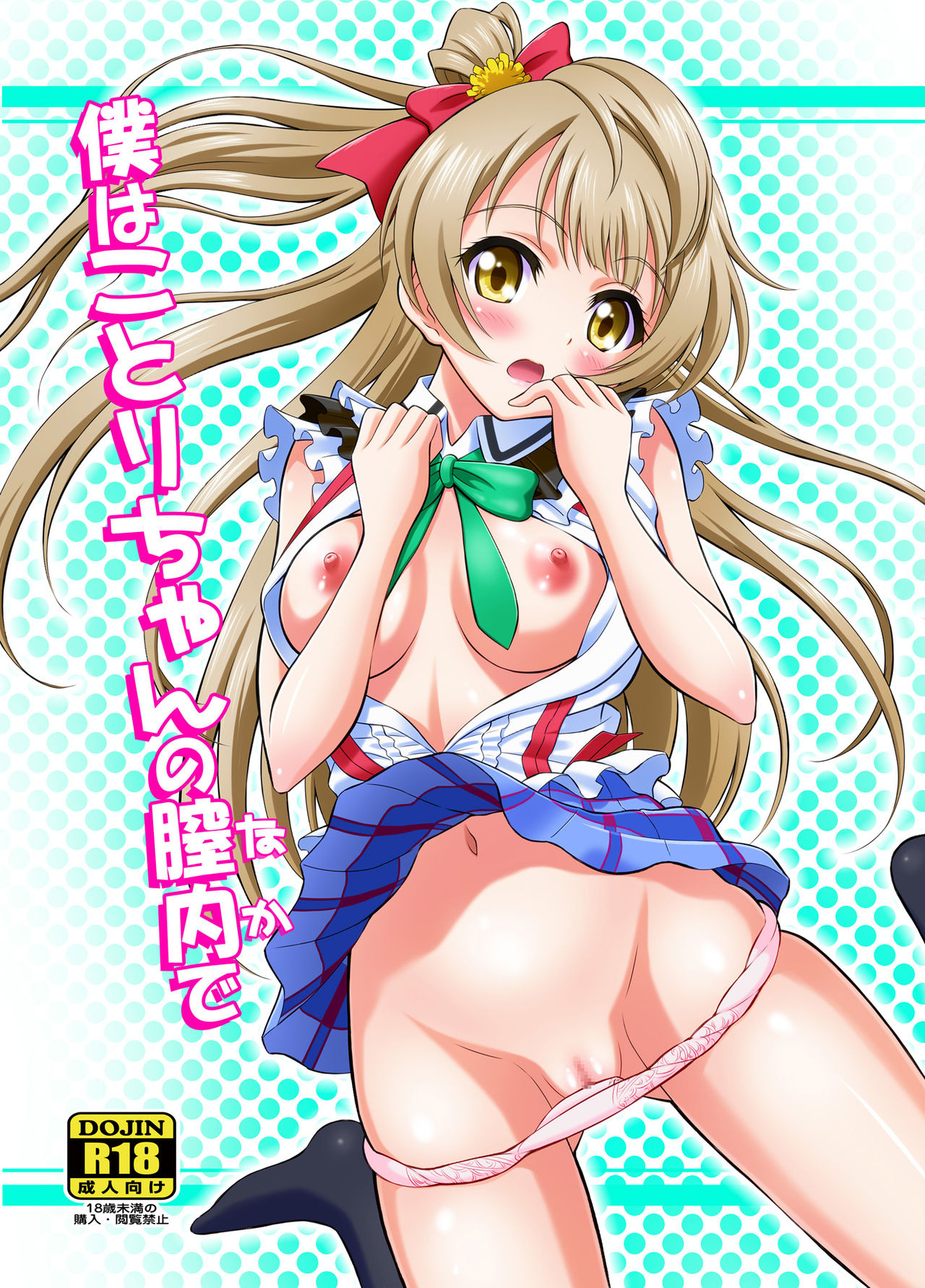 Boku wa Kotori-chan no Naka de cover