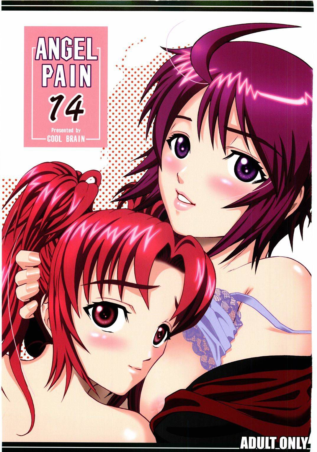 ANGEL PAIN 14 cover