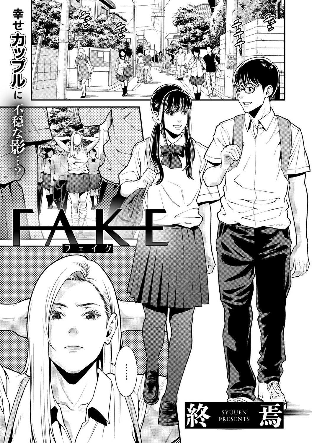 Fake cover