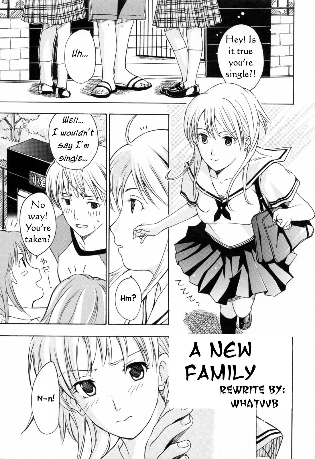 A New Family cover
