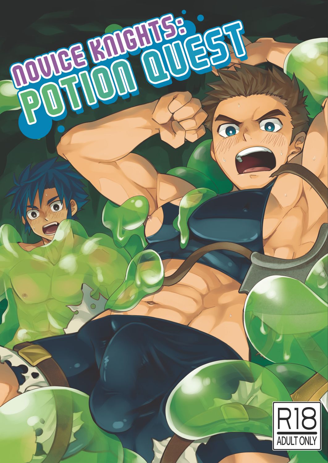 Novice Knights: Potion Quest cover