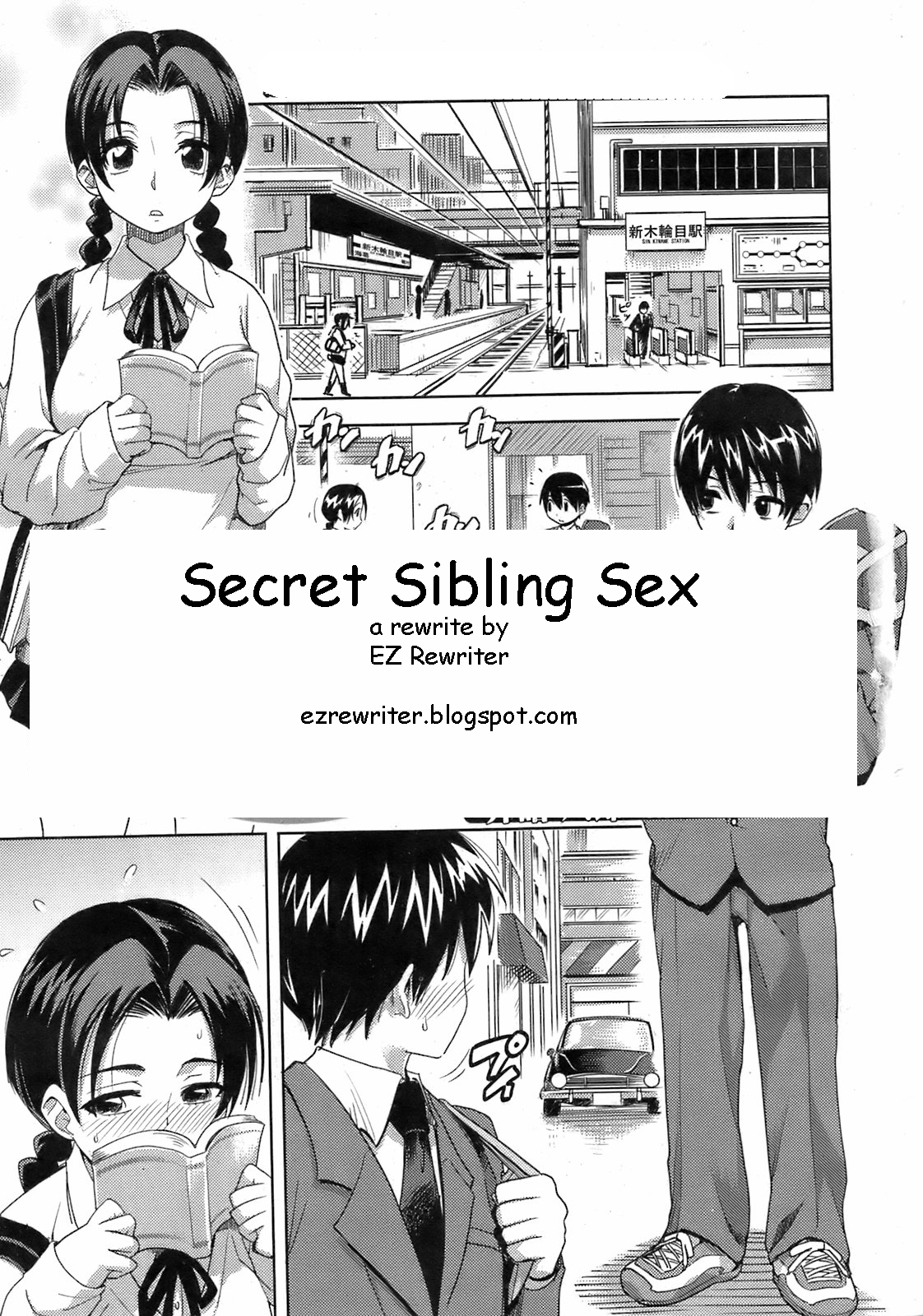 Secret Sibling Sex cover