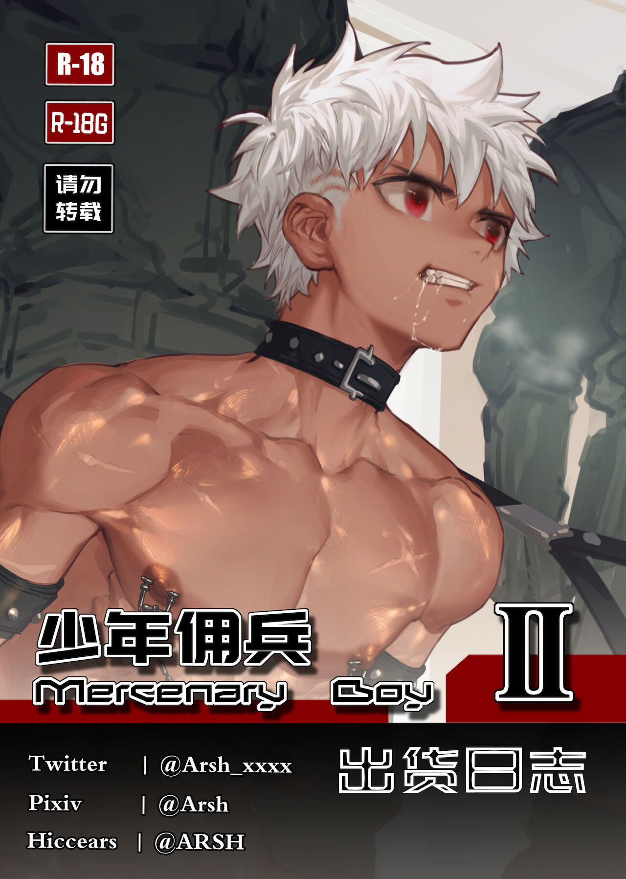 Mercenary Boy II cover