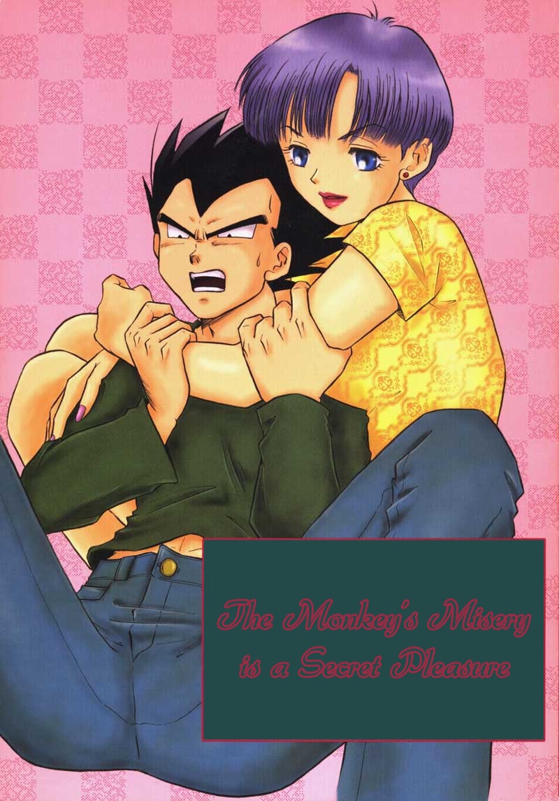 The Monkey's Misery is a Secret Pleasure cover