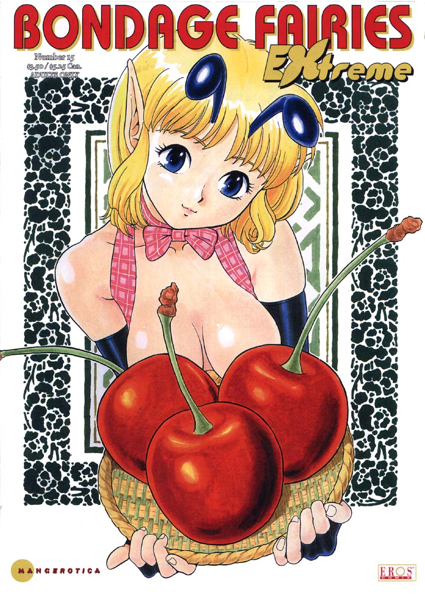 Bondage Fairies Extreme 15 cover