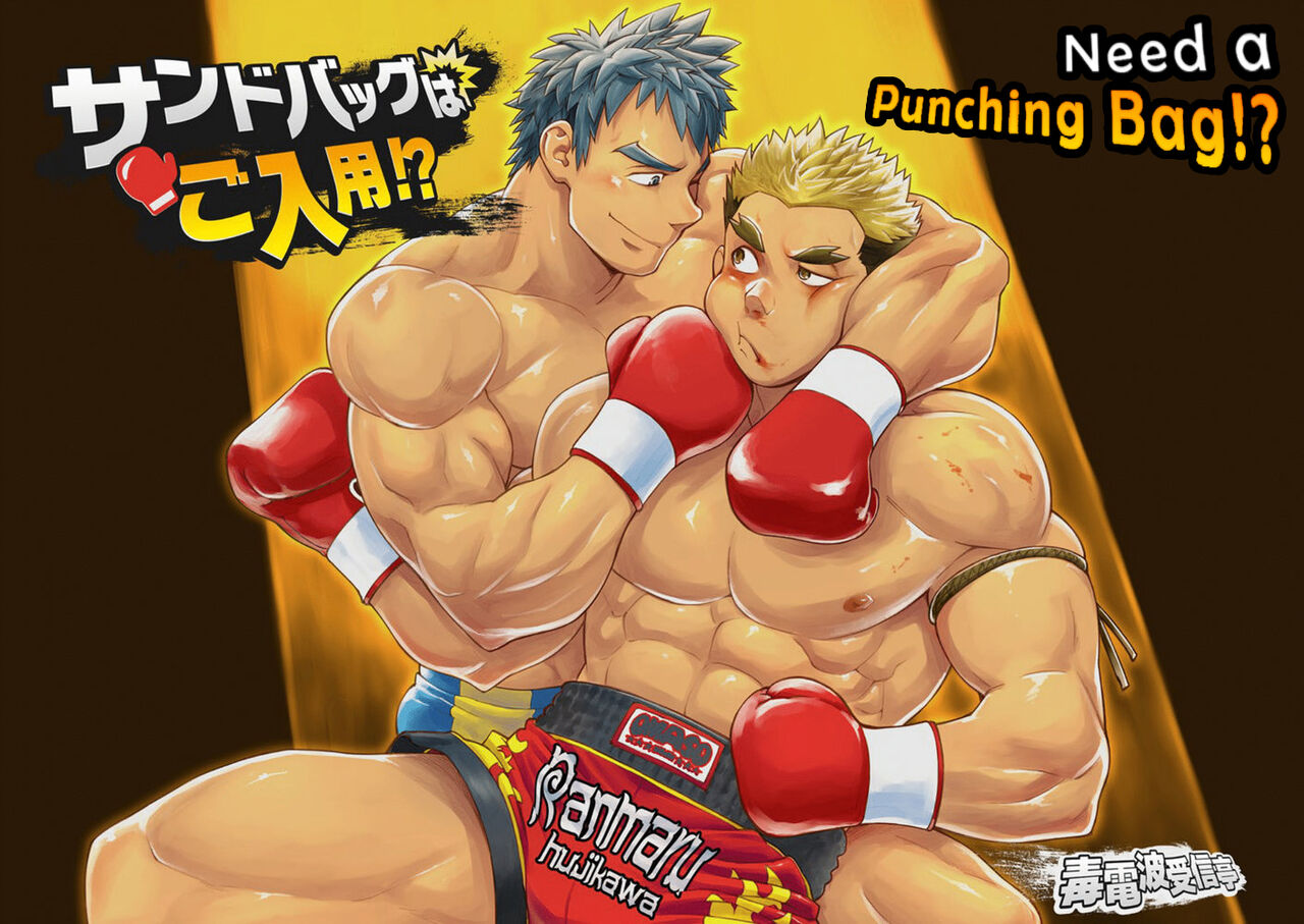 Need a Punching Bag!? cover