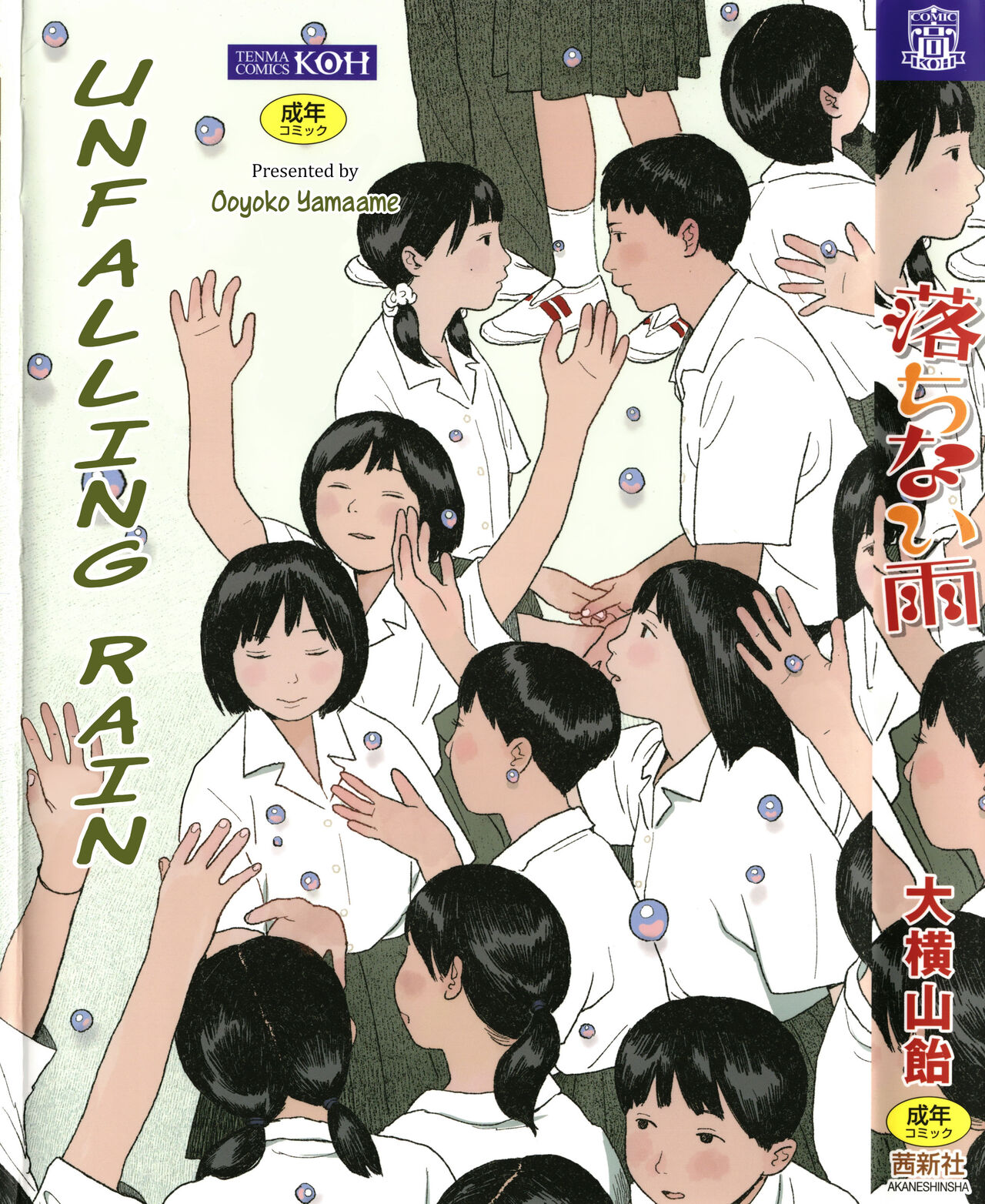 Unfalling Rain cover