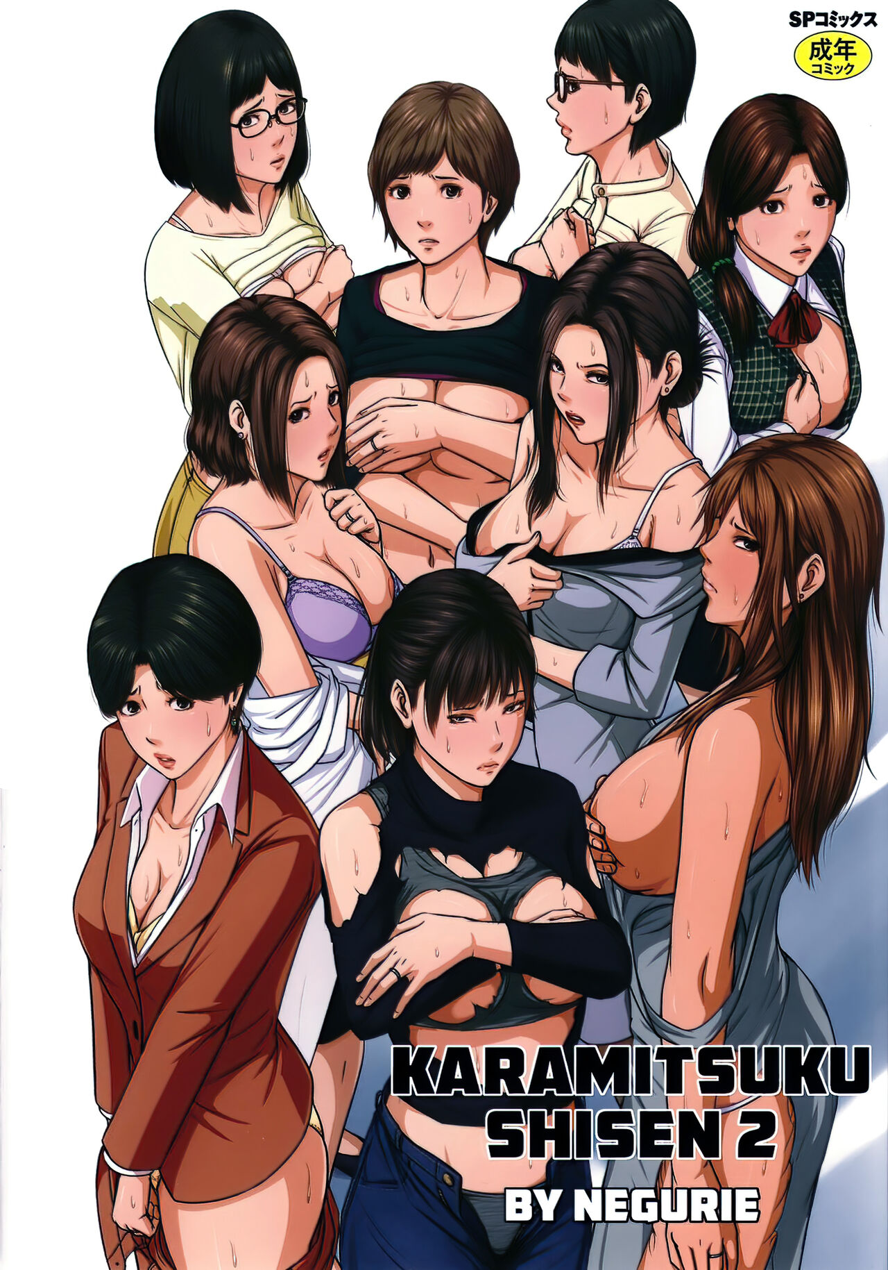 Karamitsuku Shisen 2 cover