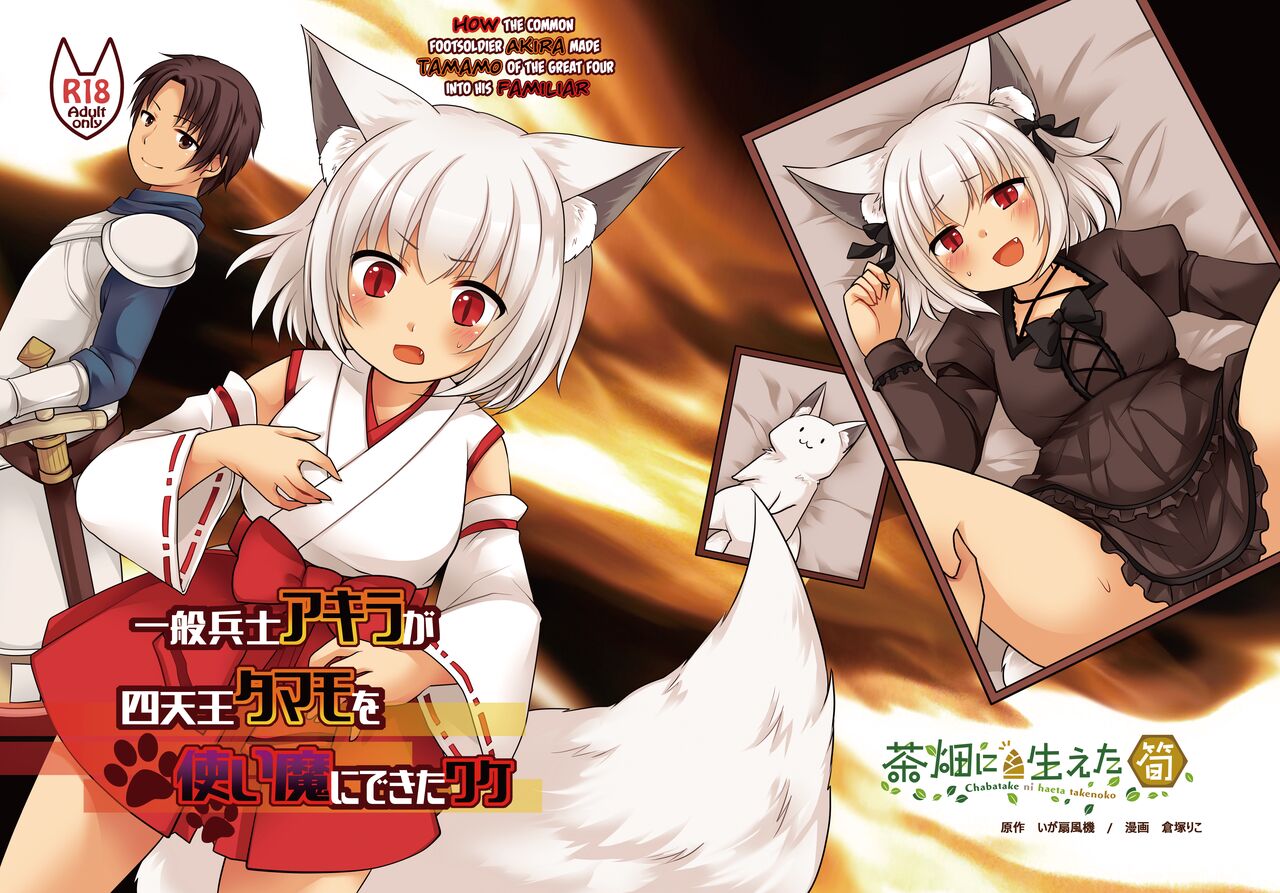 How The Common Footsoldier Akira Made Tamamo of the Great Four Into His Familiar cover