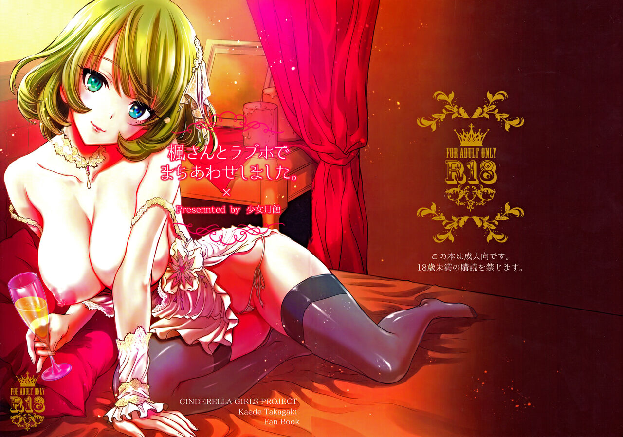 Meeting with Kaede-san in a Love Hotel cover