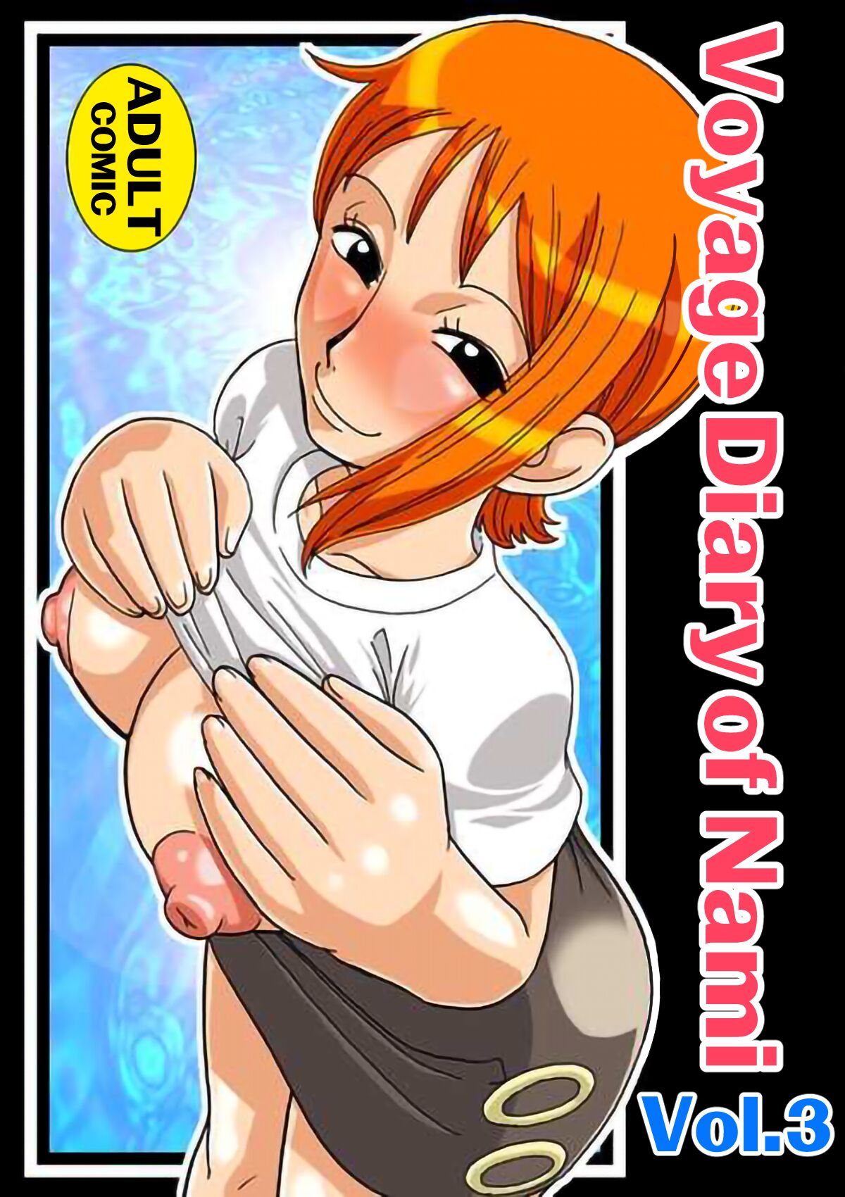 Voyage Diary of Nami cover