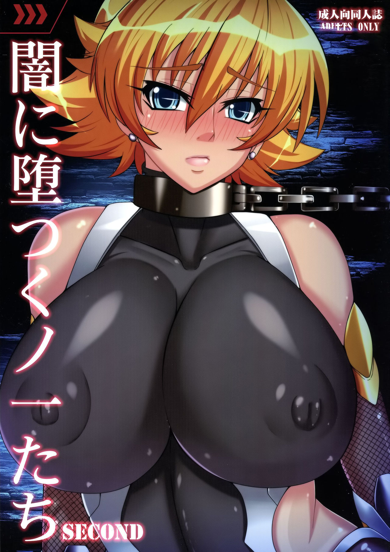 We Kunoichi Fell Into Darkness Second cover