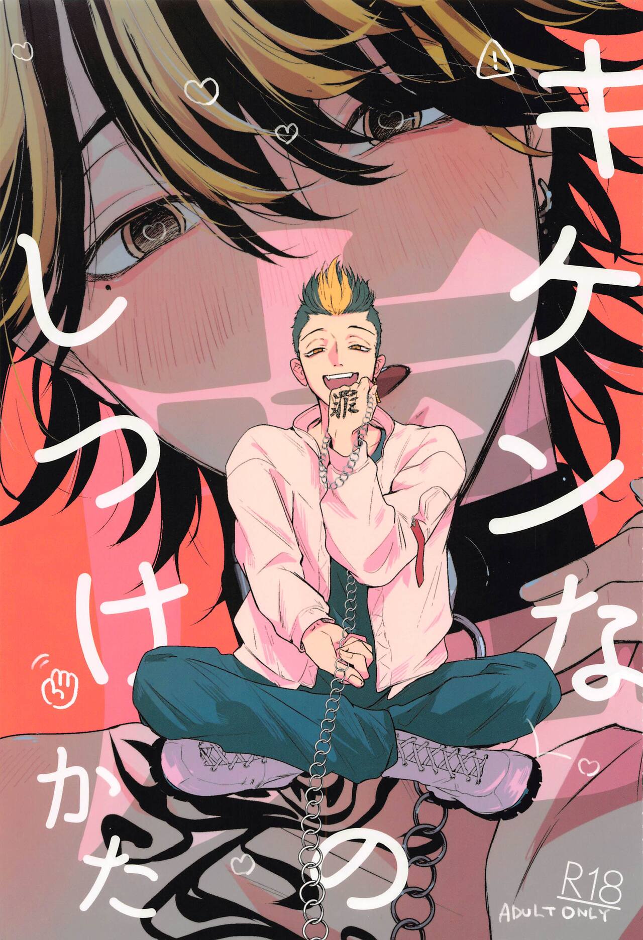 Kiken na Tora no Shitsukekata cover