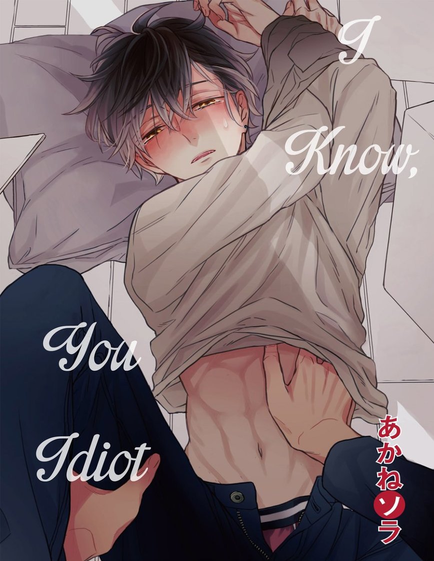 I Know, You Idiot cover