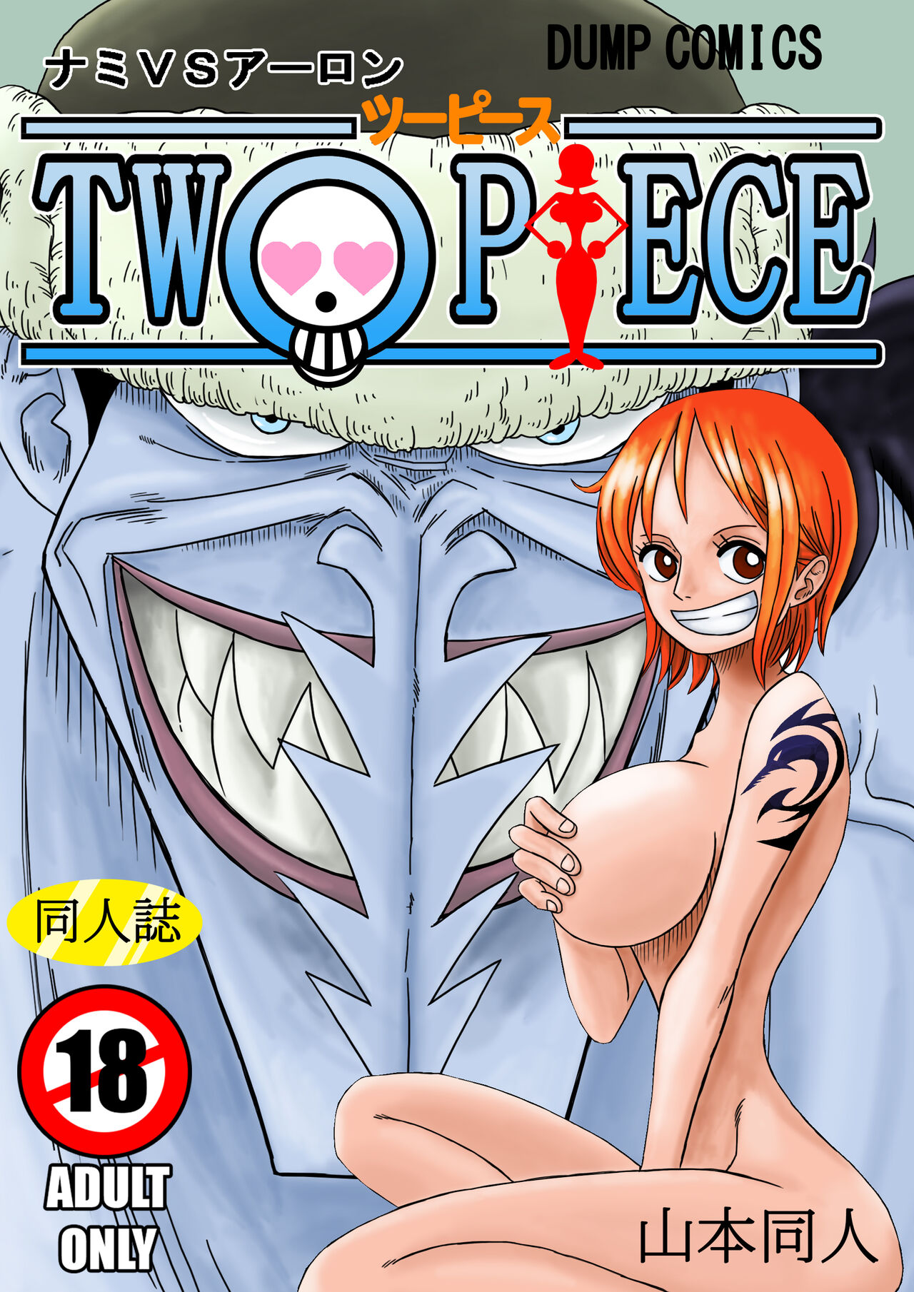 NAMI VS ARLONG cover