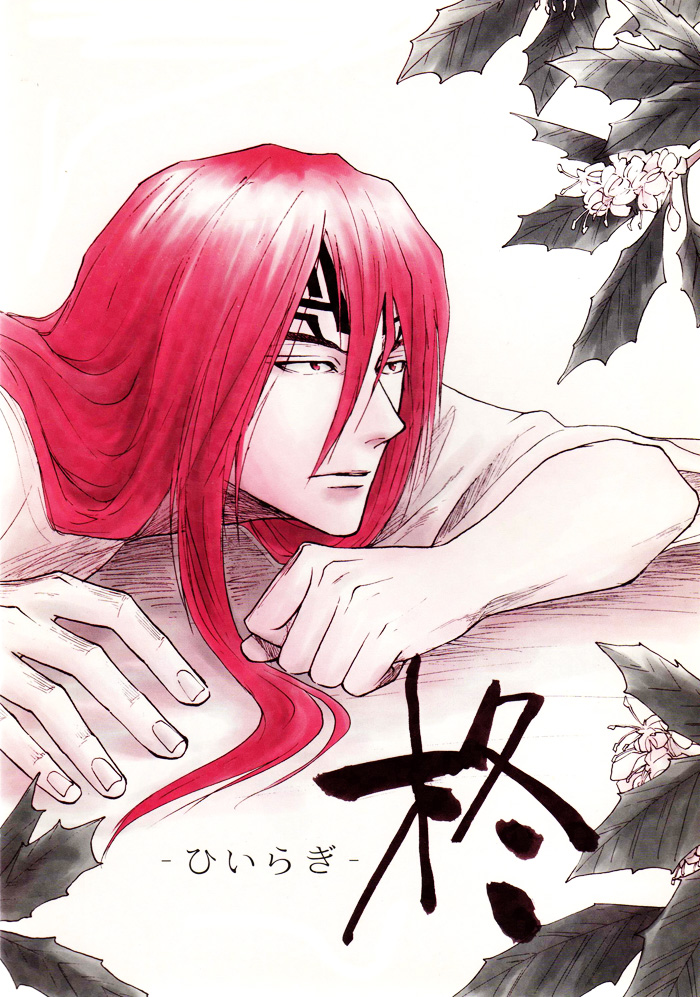 Hiiragi cover