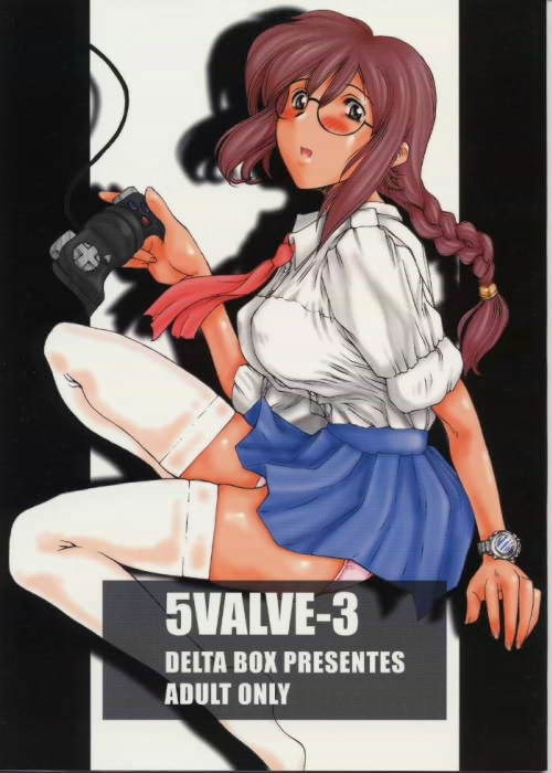 5VALVE-3 cover