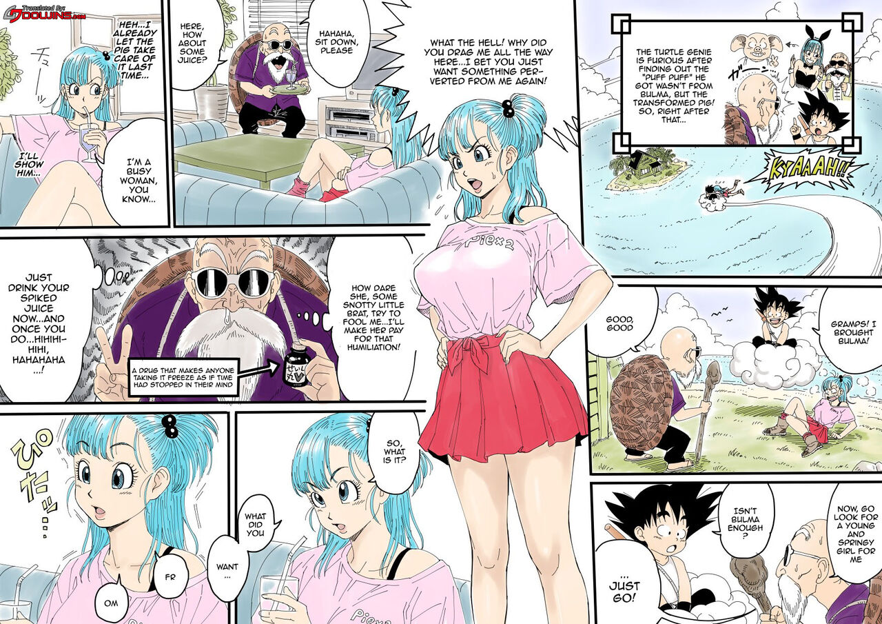 Bulma x Turtle Hermit - Last cover