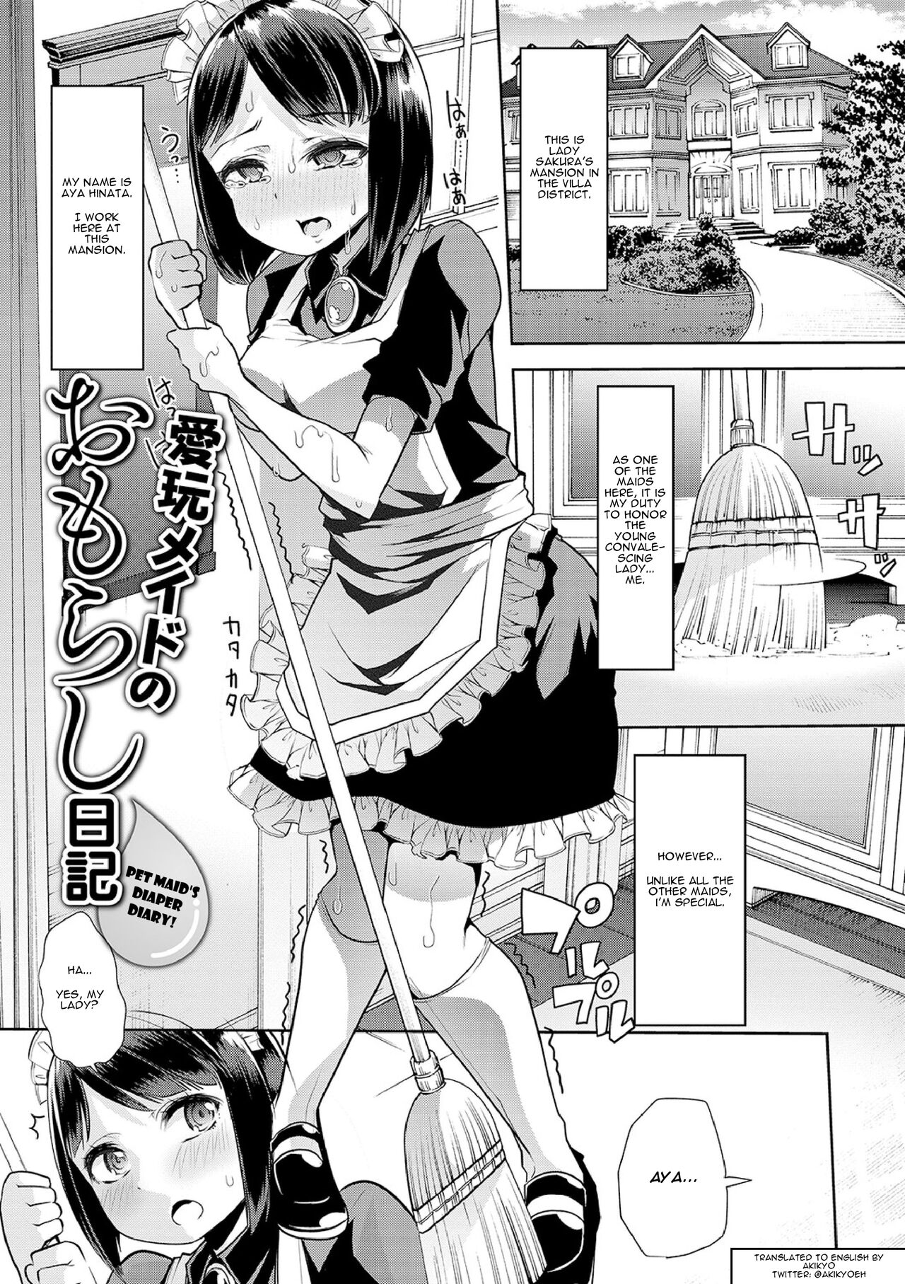 Pet Maid's Diaper Diary! cover